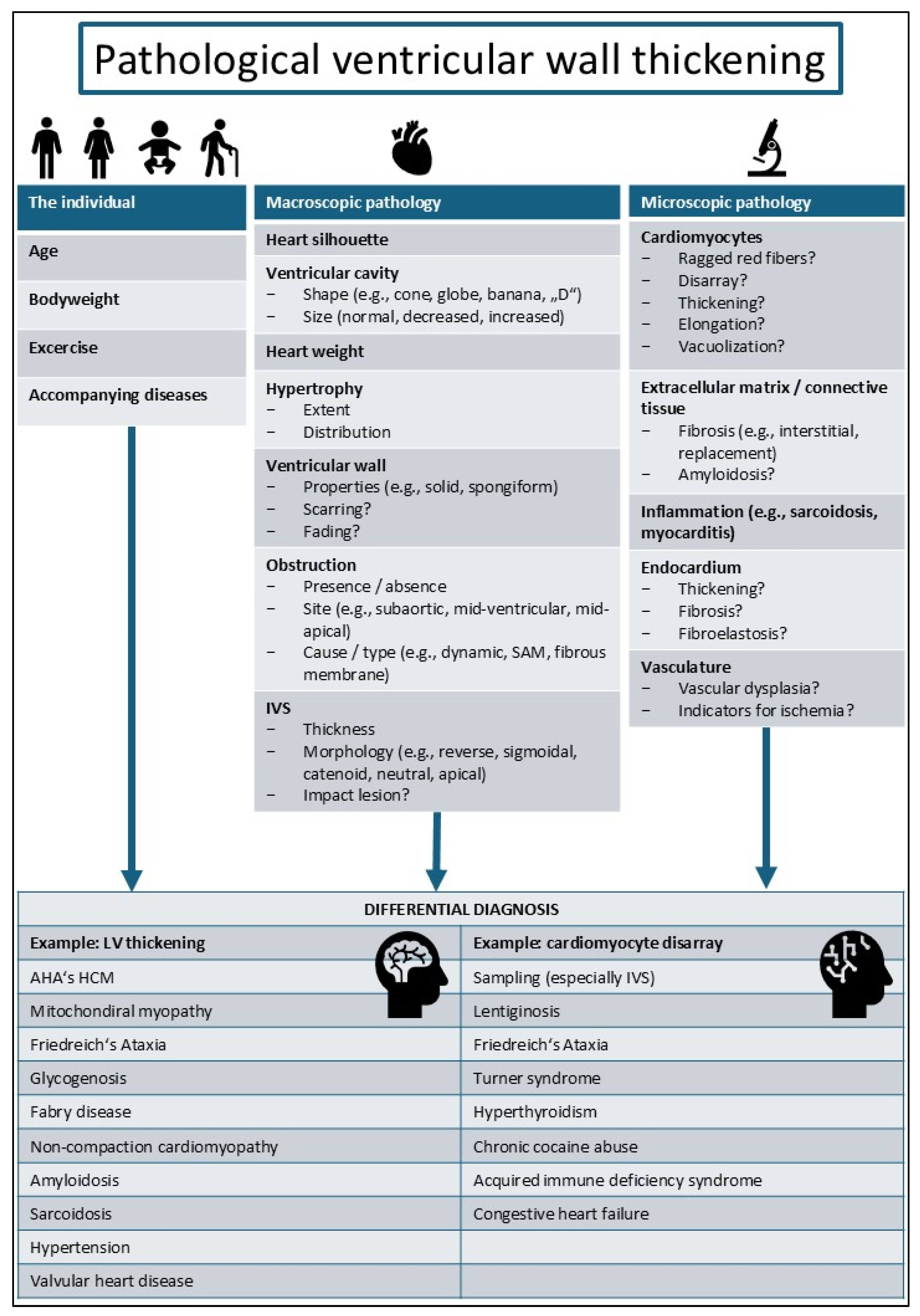 Diagnostics 14 02534 g002