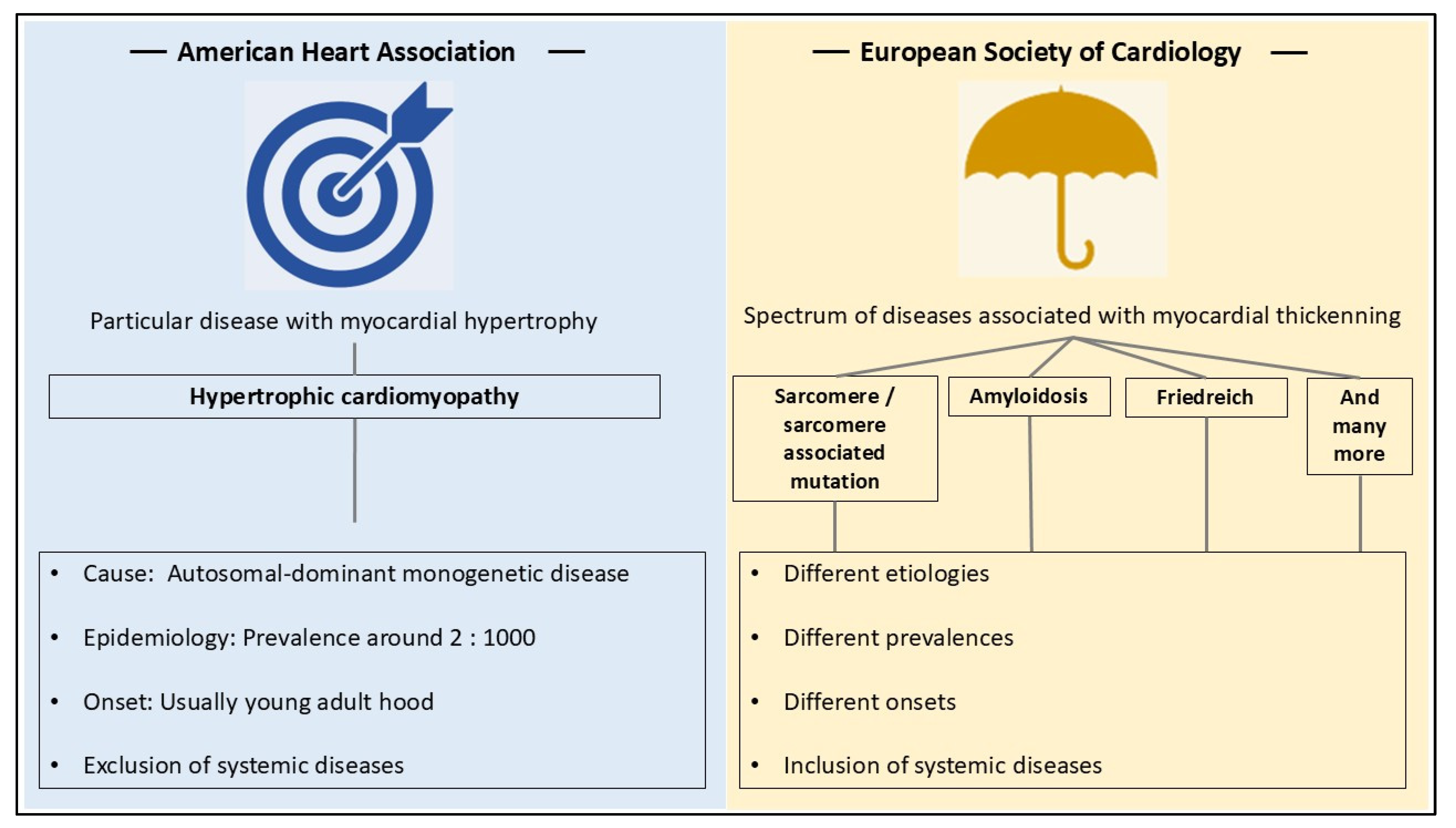 Diagnostics 14 02534 g003