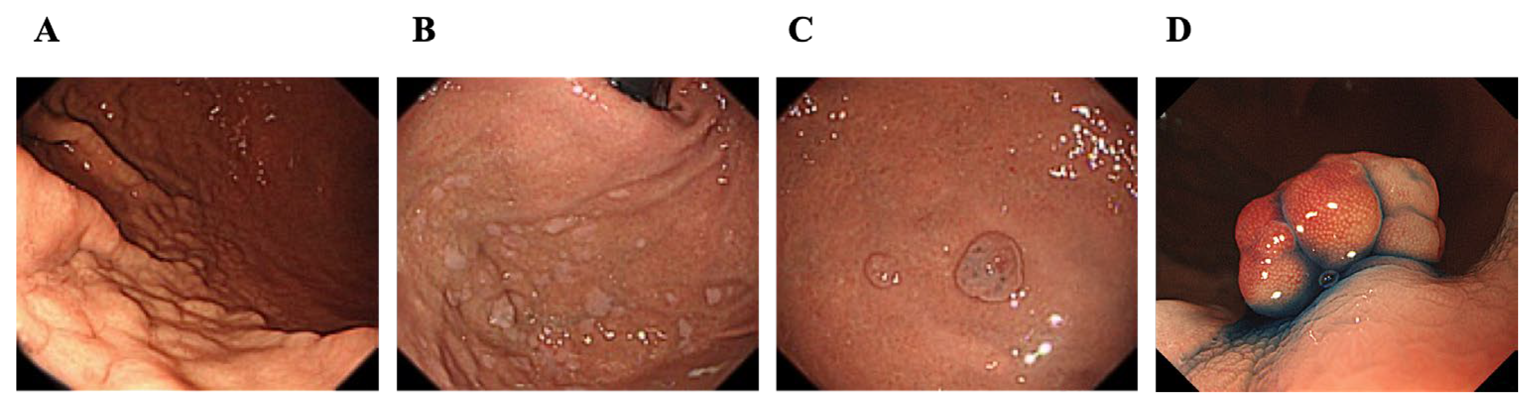 Diagnostics 14 02540 g001