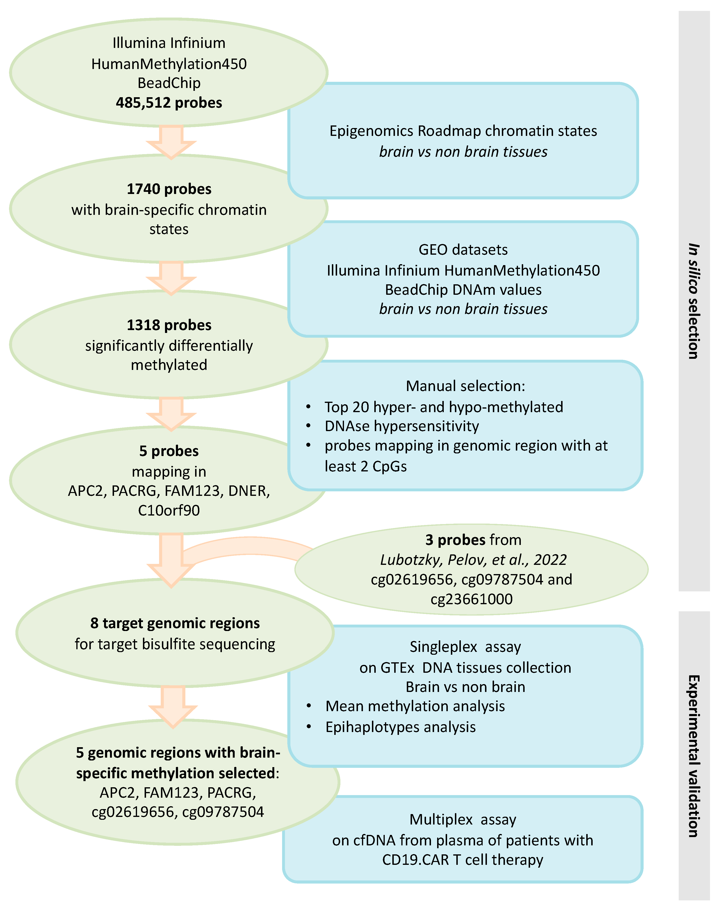 Diagnostics 14 02541 g001