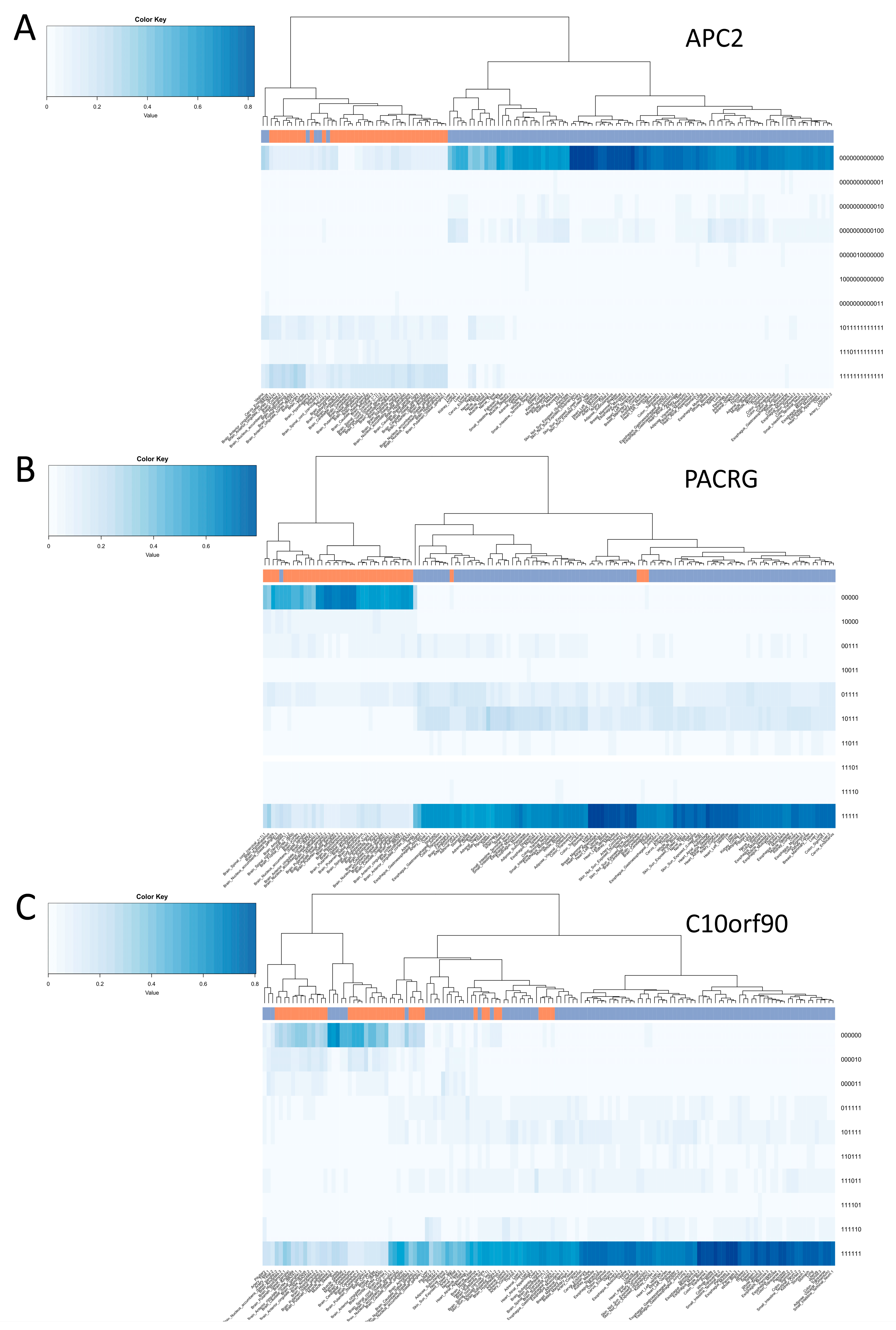 Diagnostics 14 02541 g003