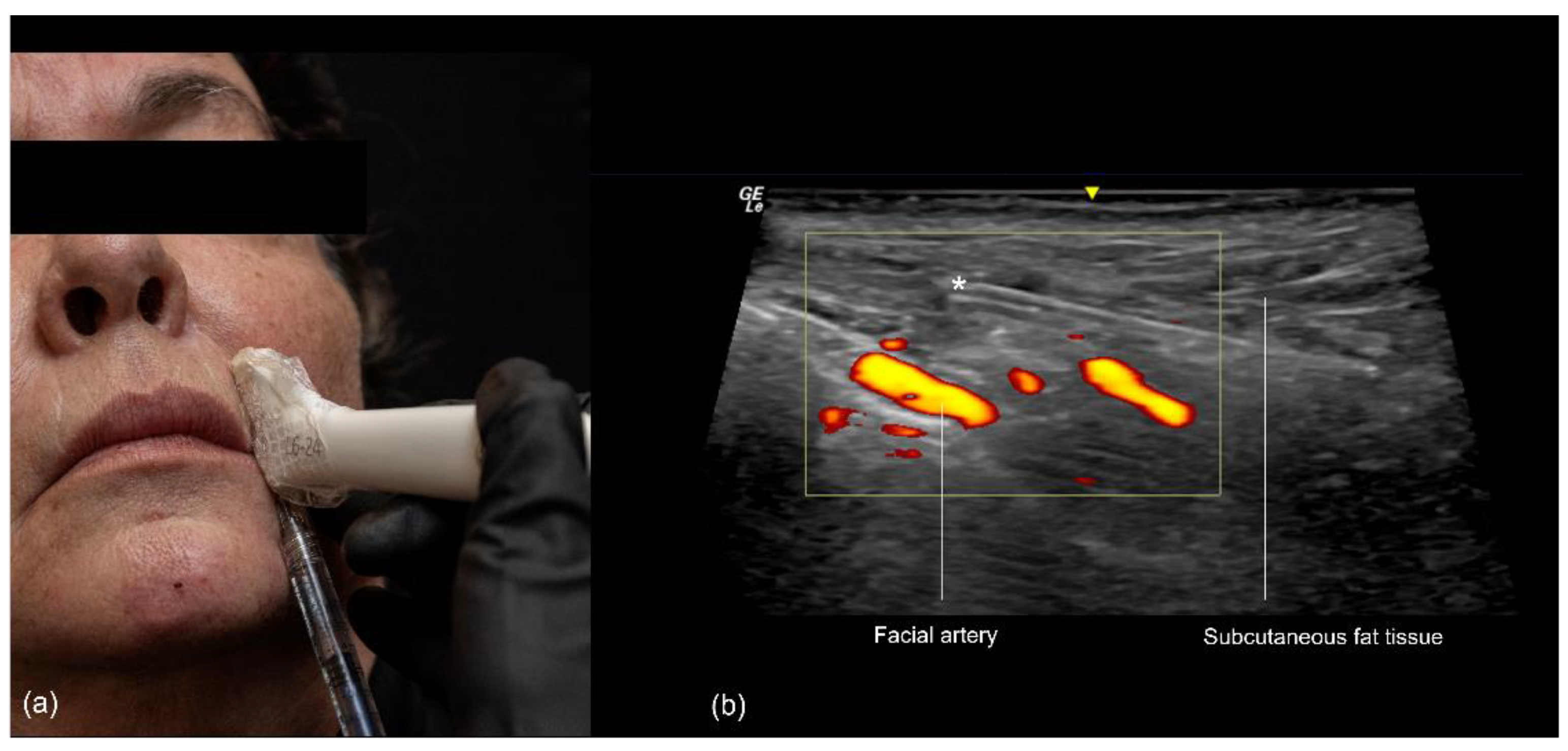 Diagnostics 14 02544 g010