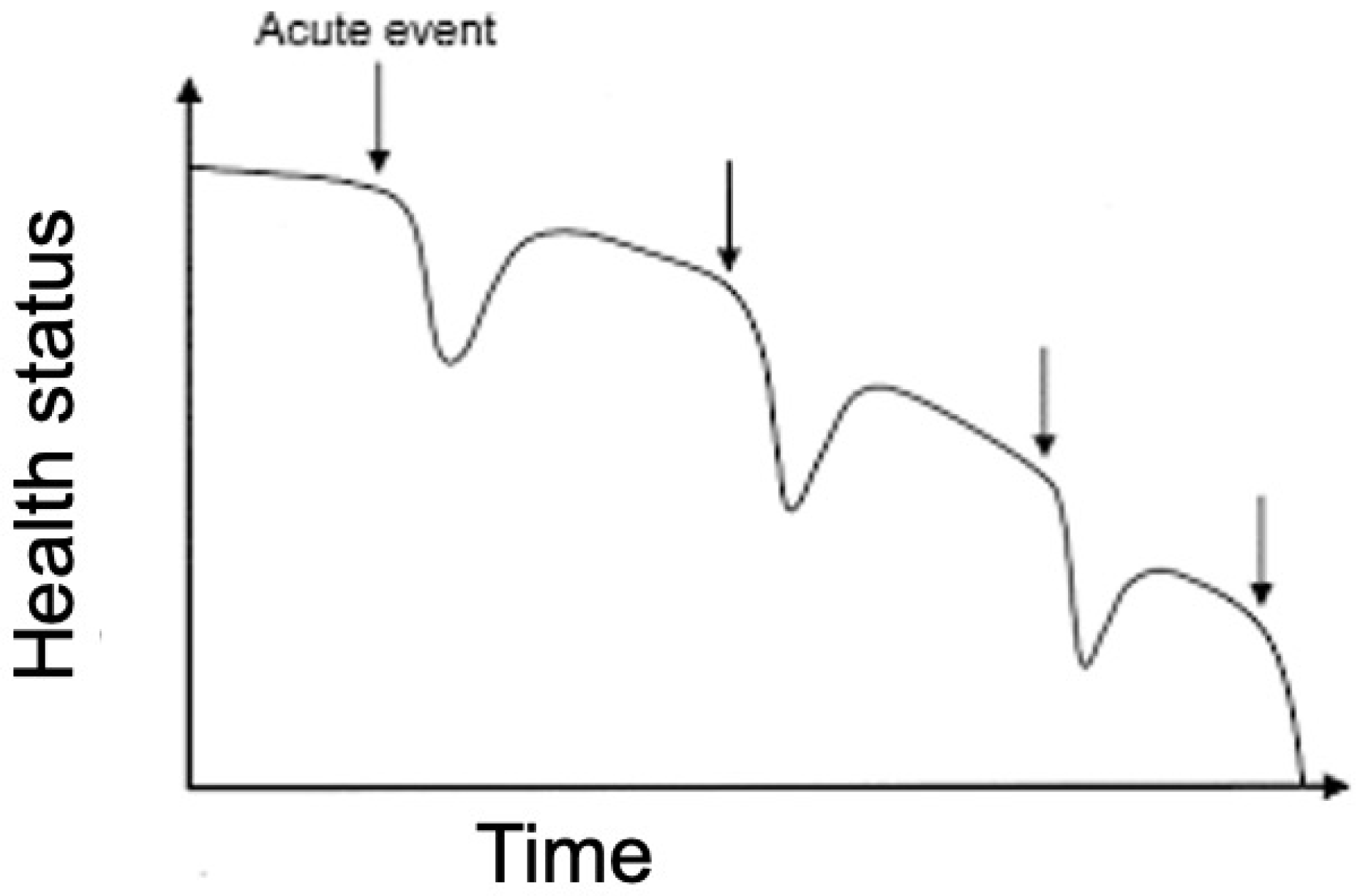 Diagnostics 14 02554 g001