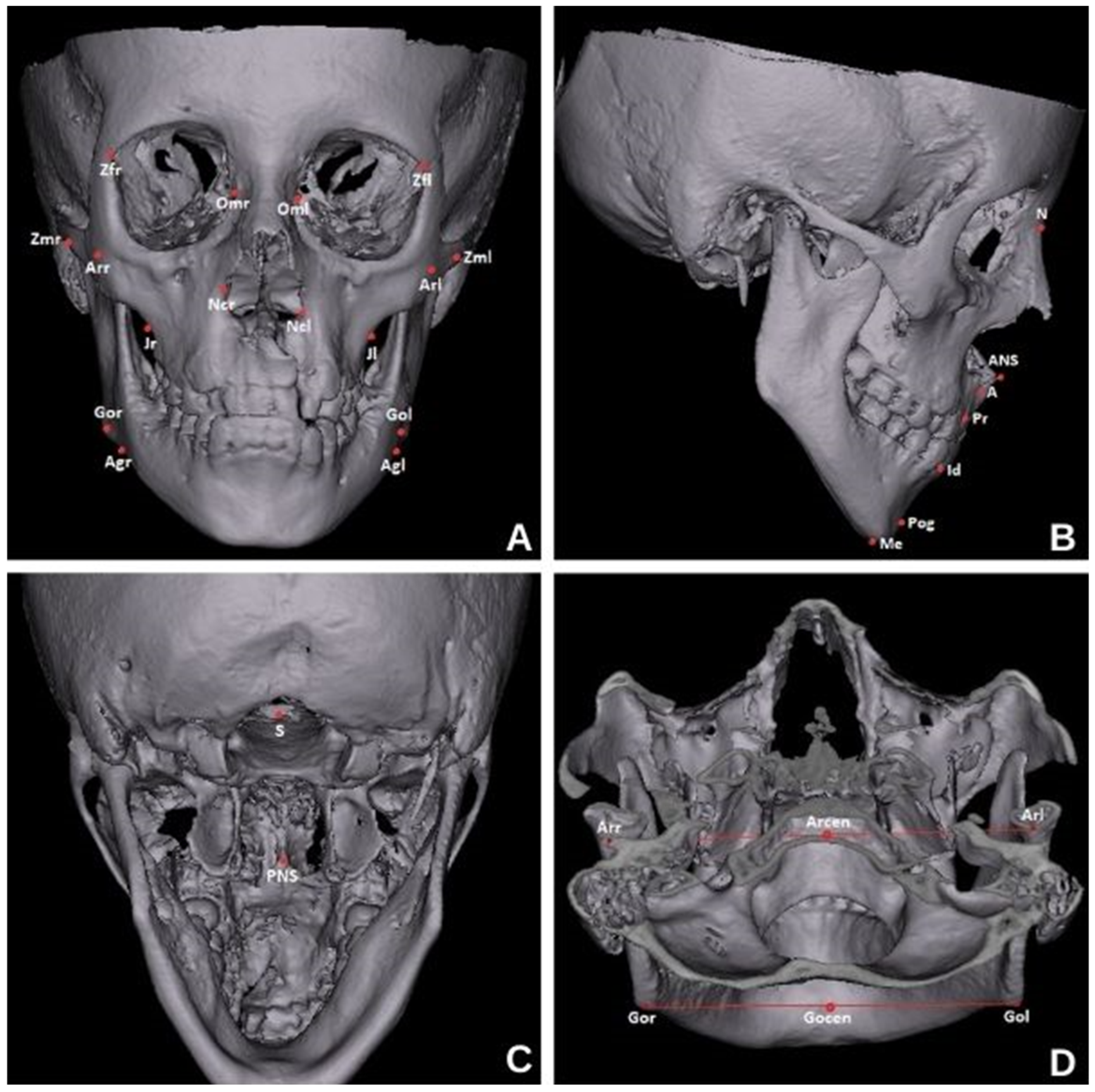 Diagnostics 14 02555 g002
