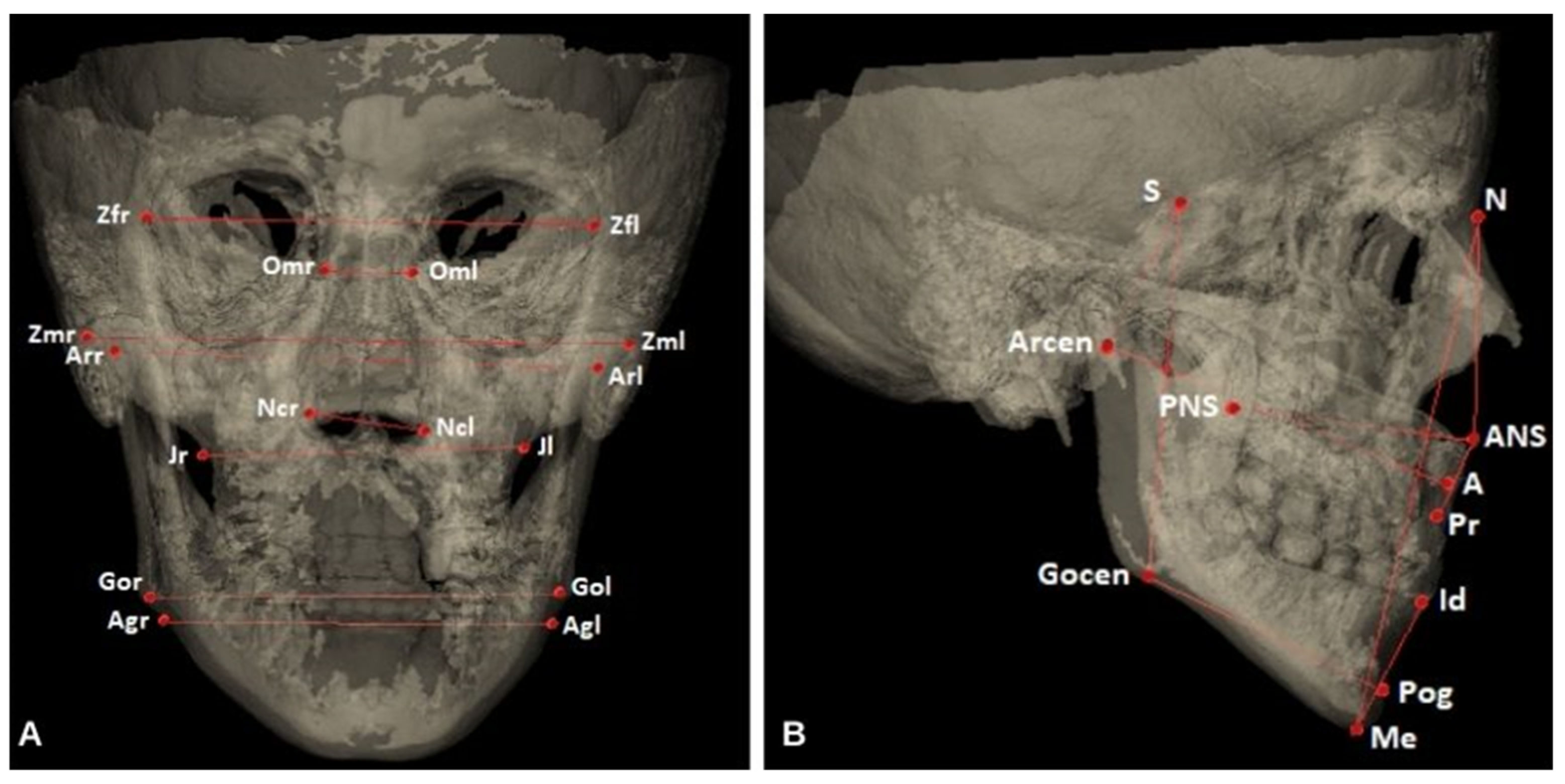 Diagnostics 14 02555 g003