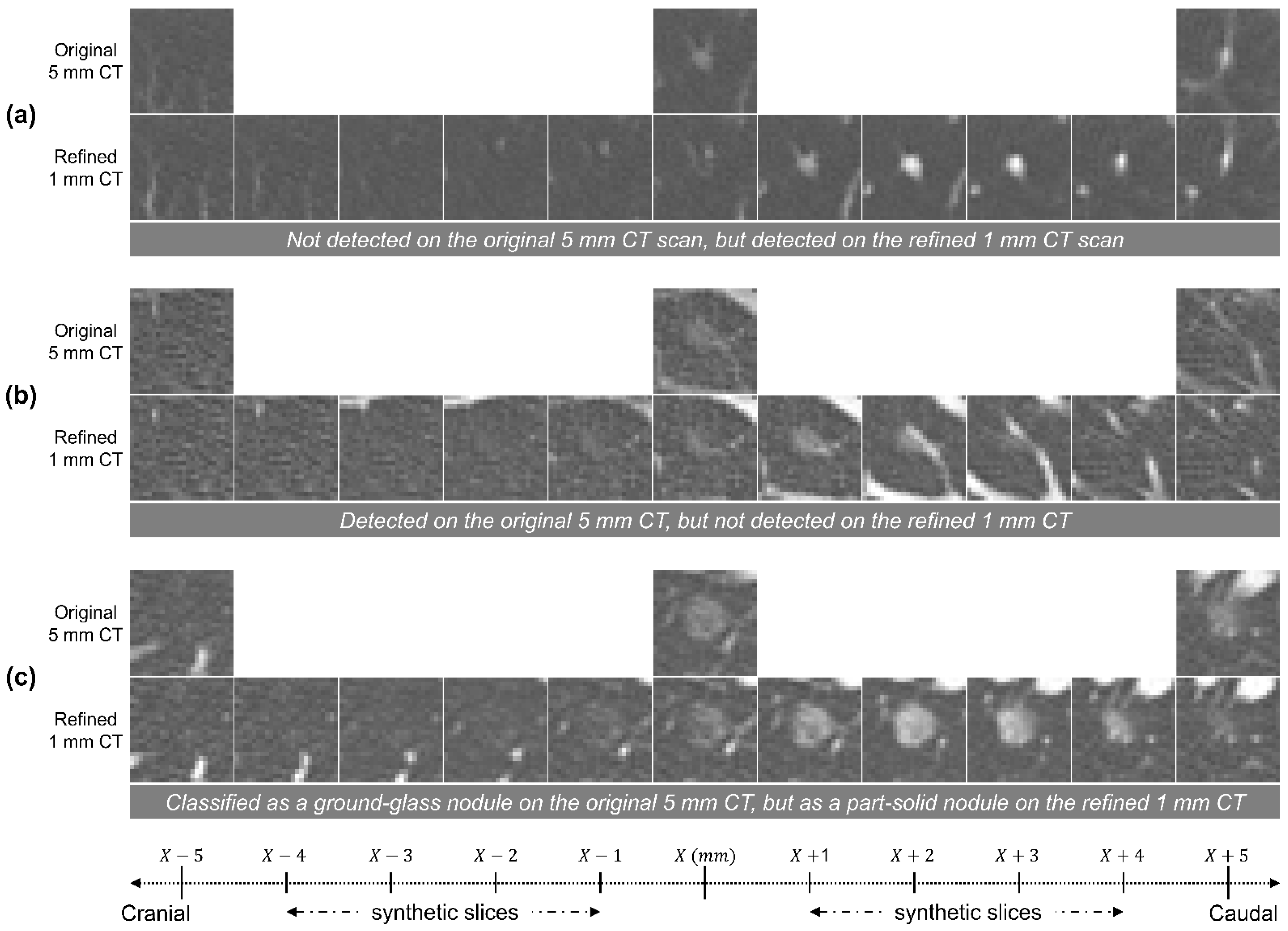 Diagnostics 14 02558 g005