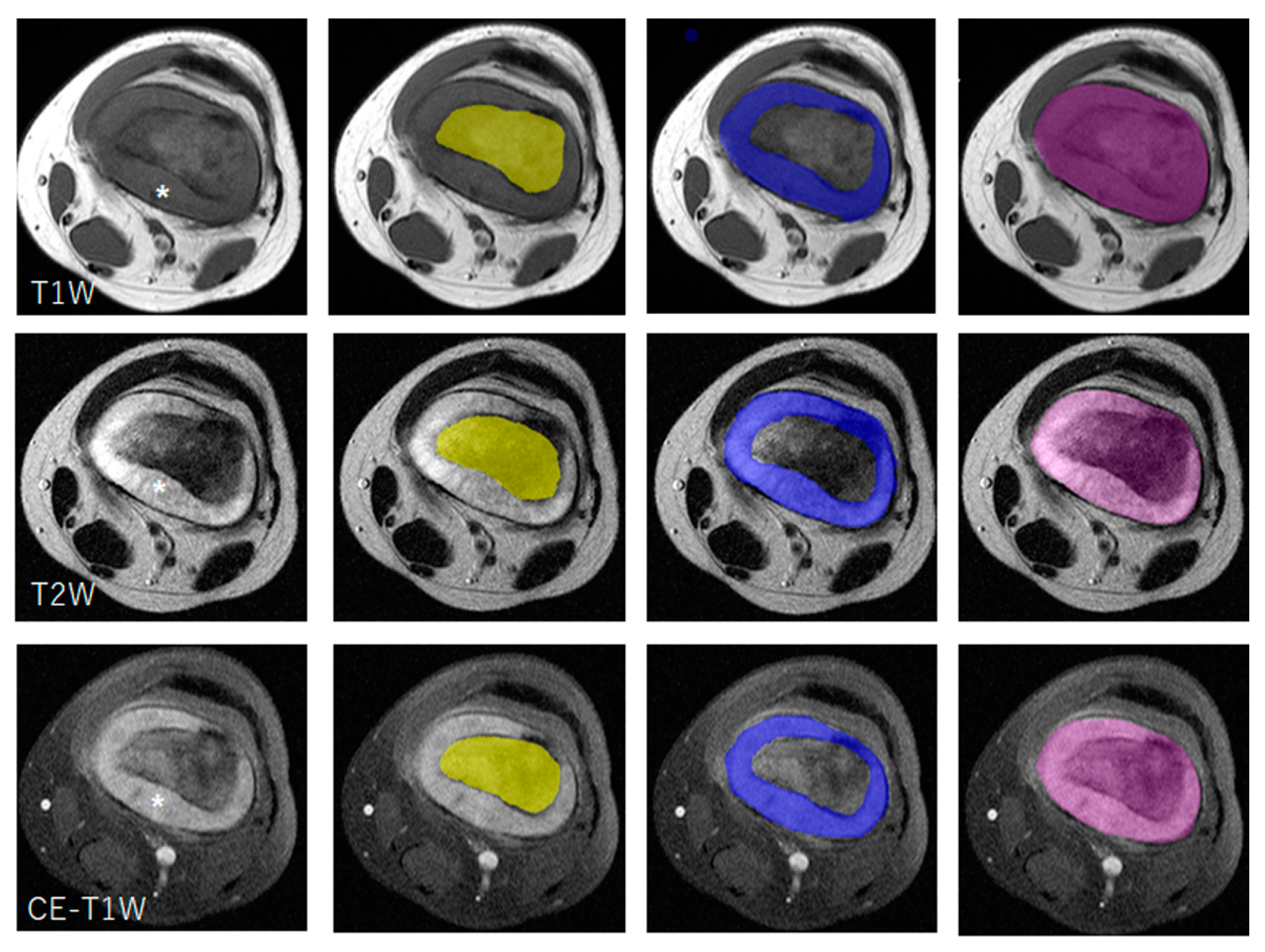 Diagnostics 14 02562 g001
