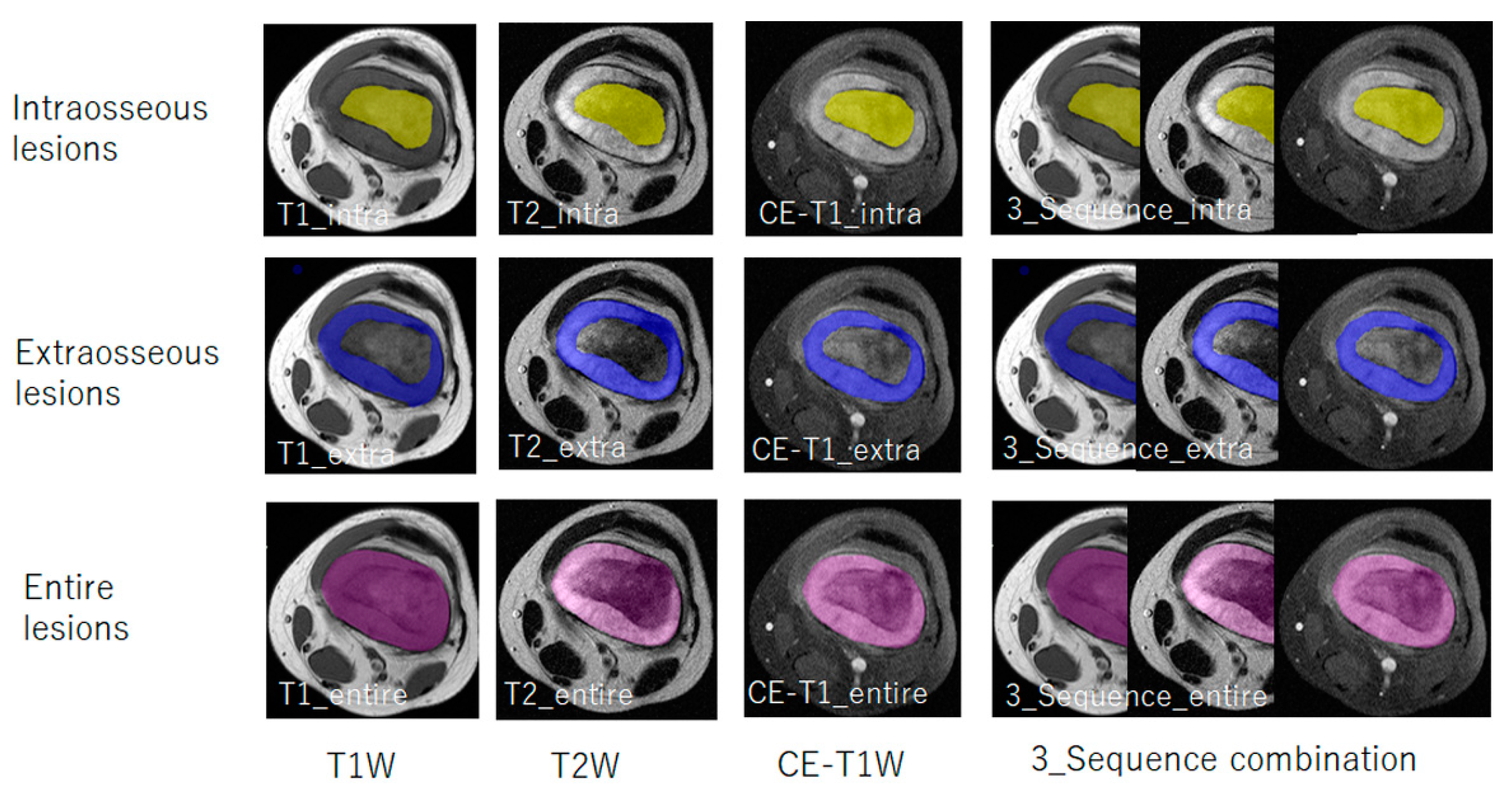 Diagnostics 14 02562 g003