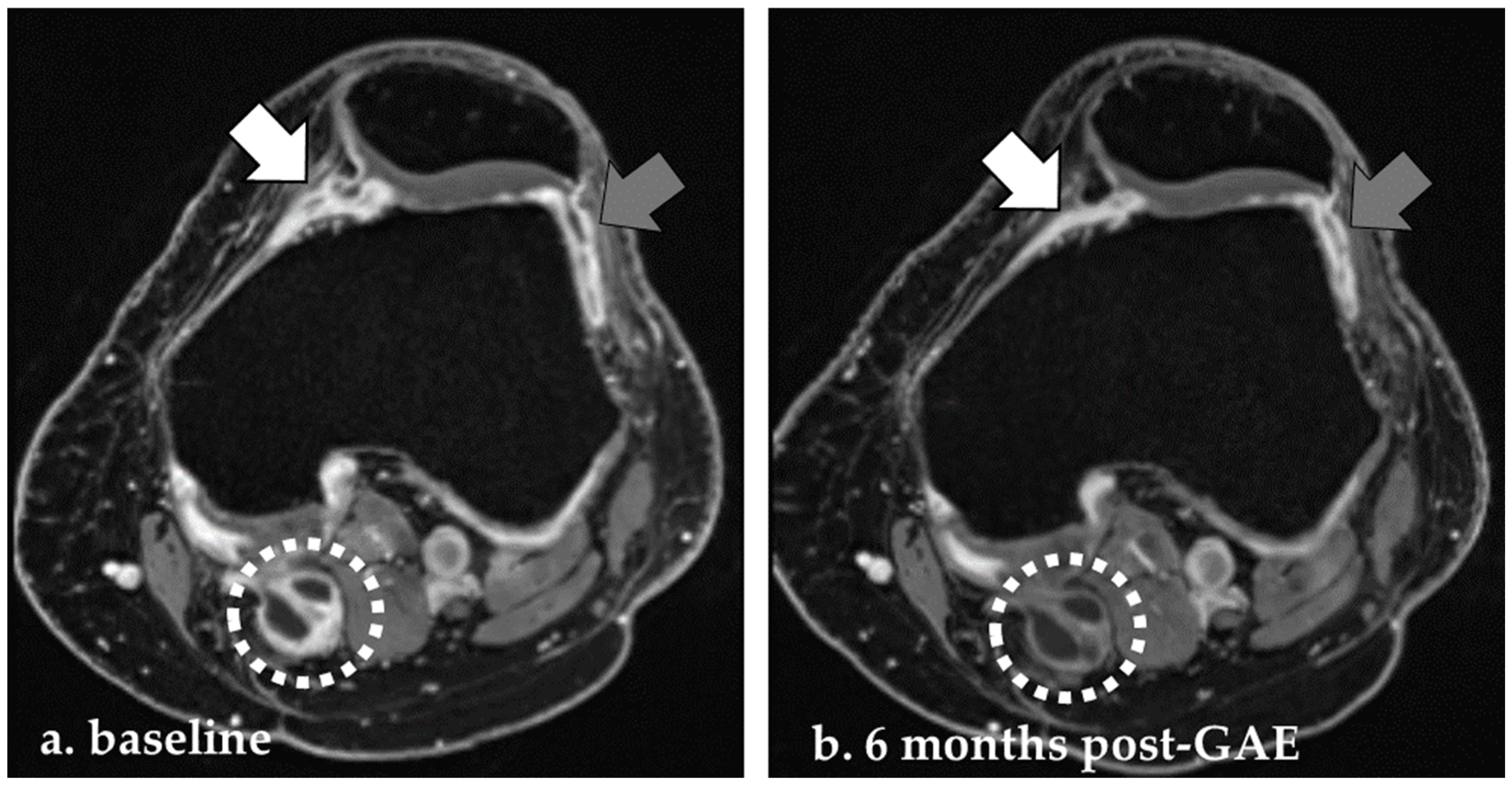 Diagnostics 14 02564 g002