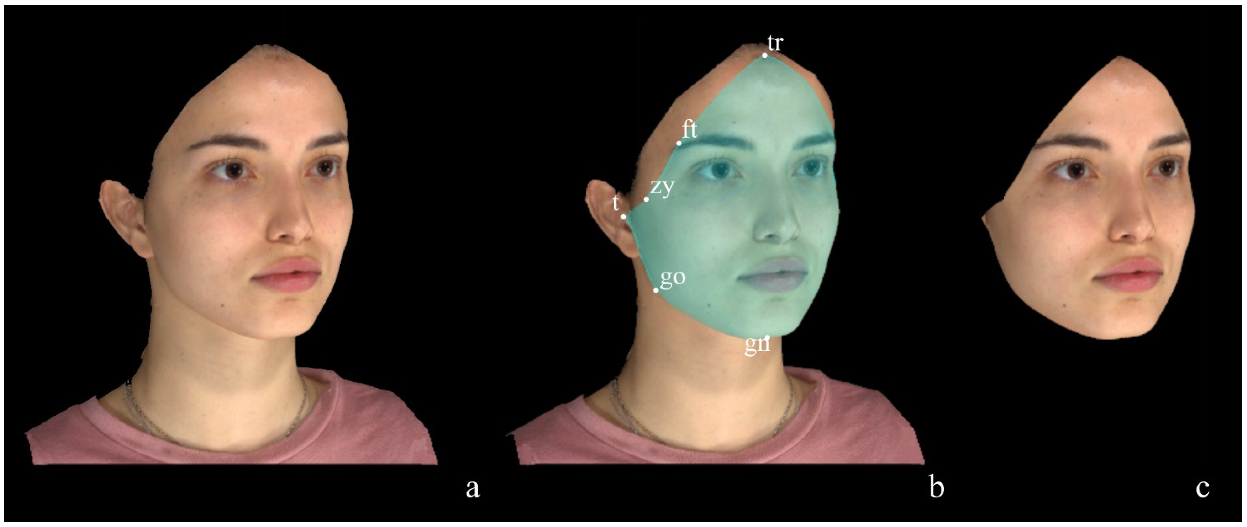 Diagnostics 14 02573 g001