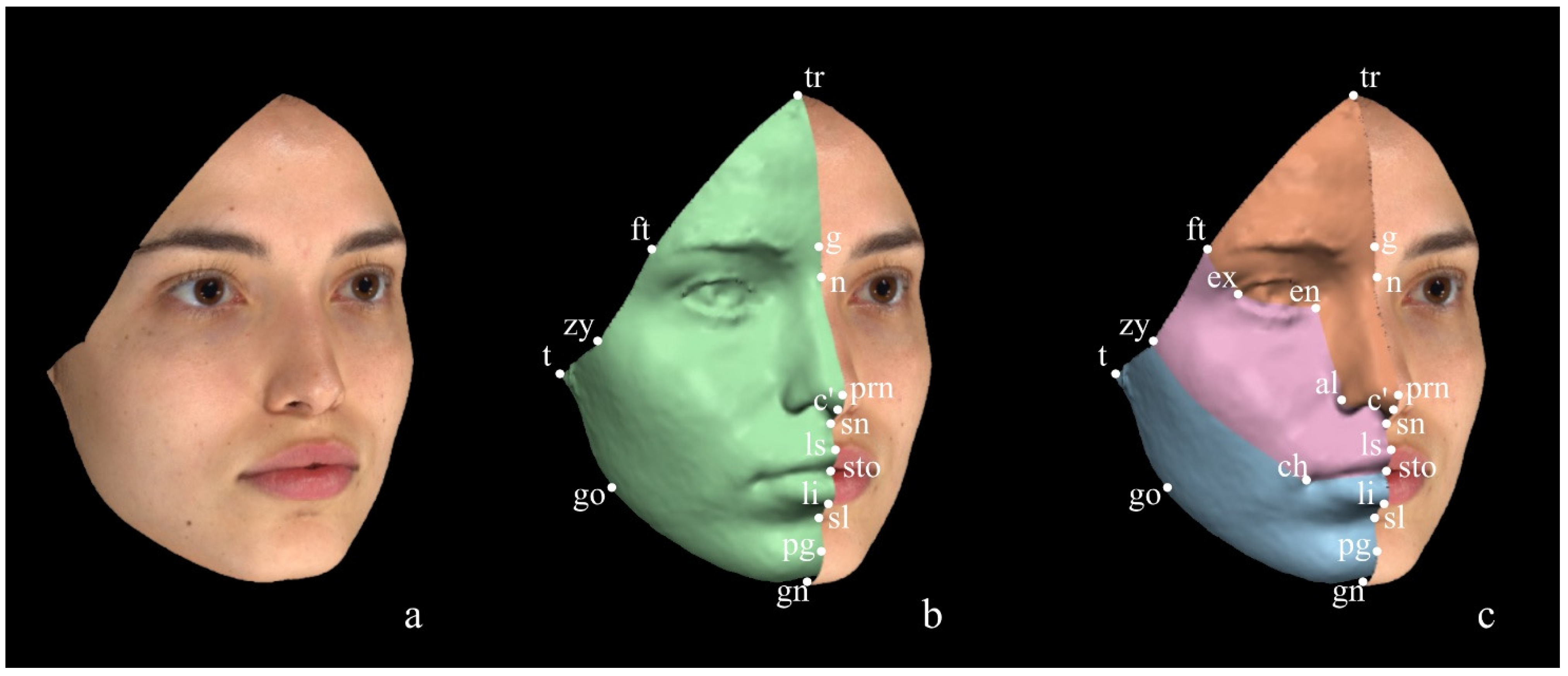 Diagnostics 14 02573 g002