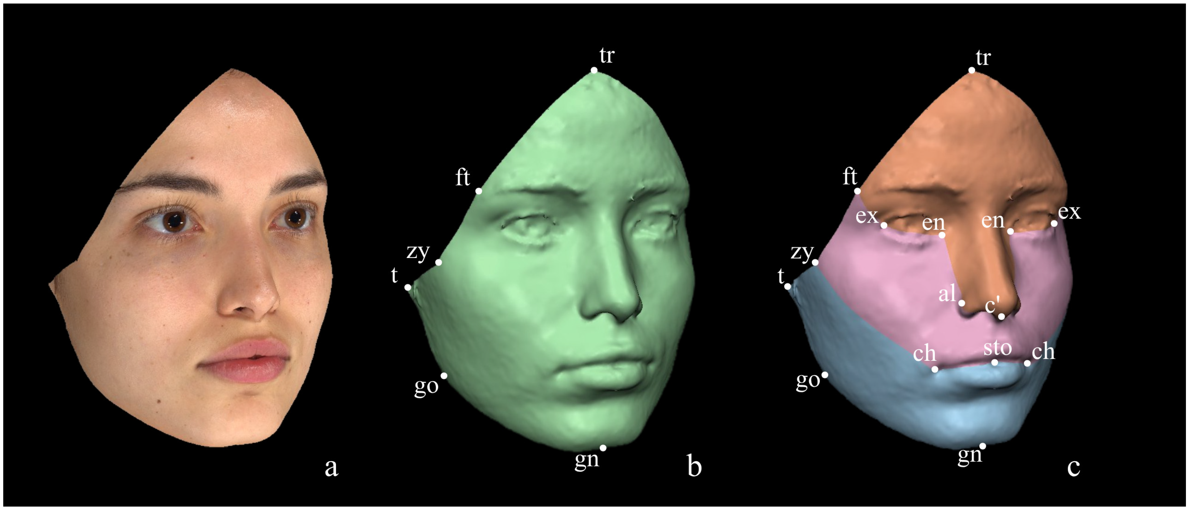 Diagnostics 14 02573 g003