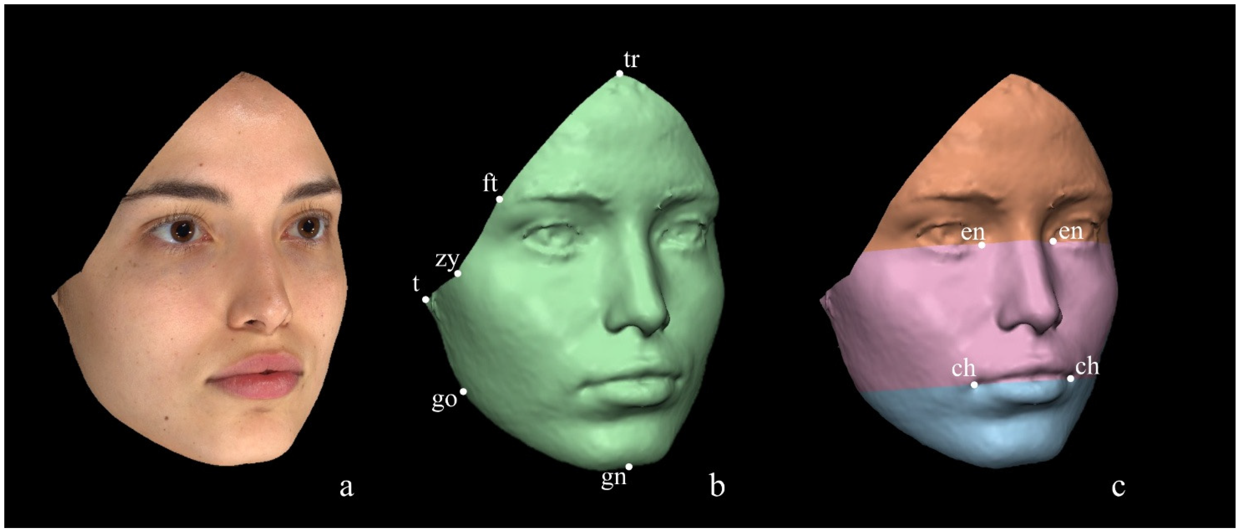 Diagnostics 14 02573 g004