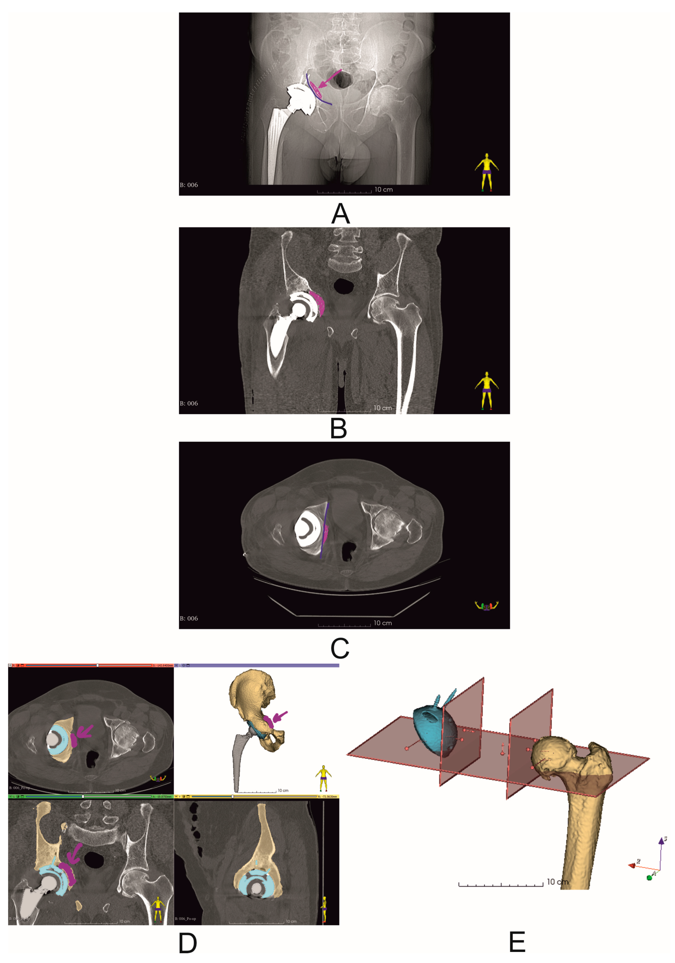 Diagnostics 14 02574 g005