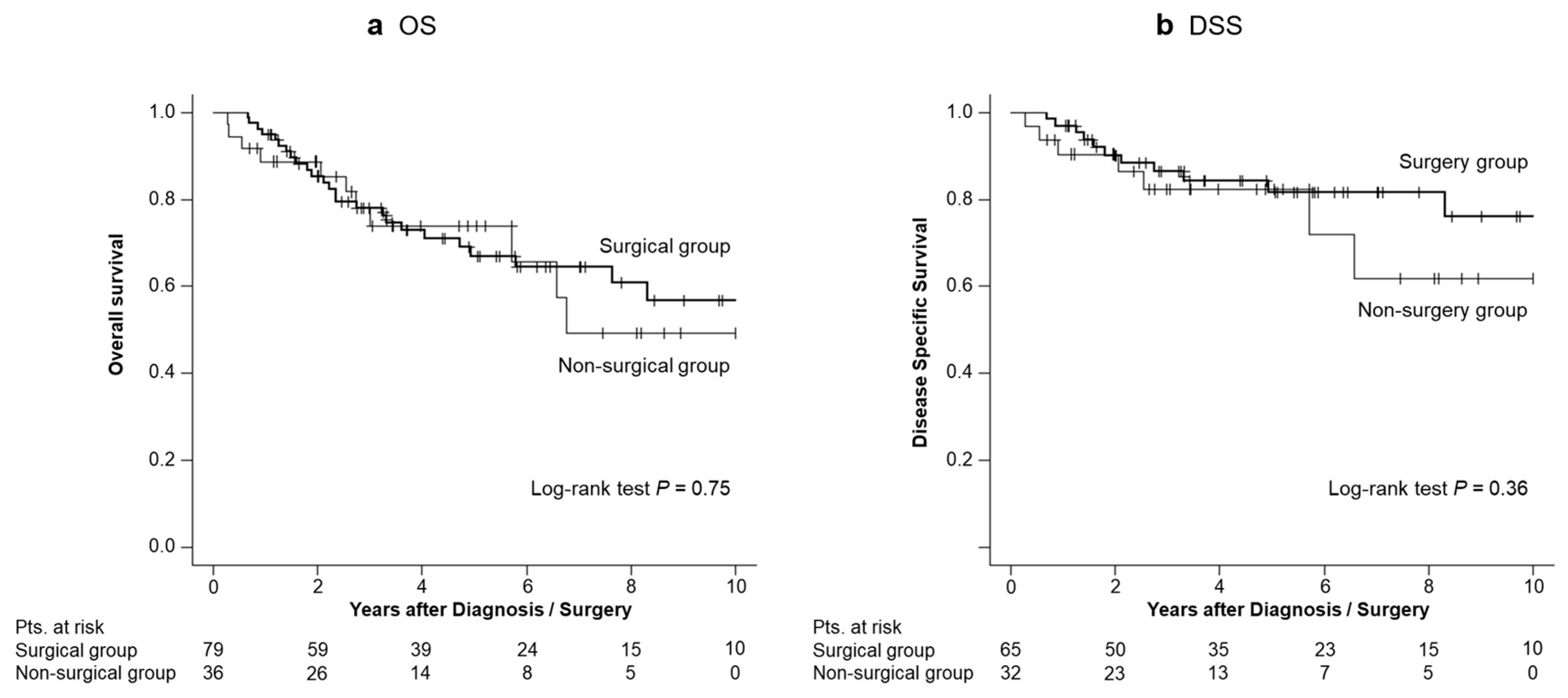 Diagnostics 14 02582 g002