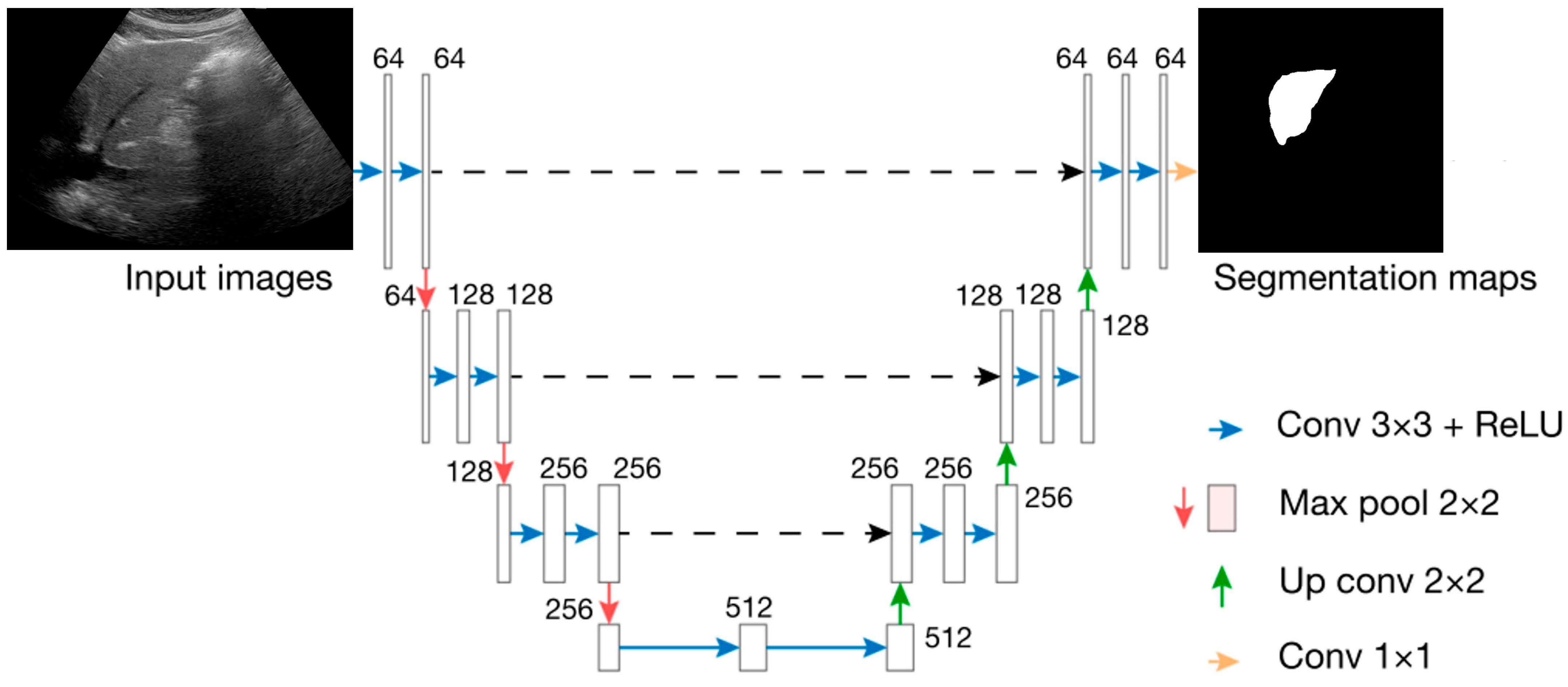 Diagnostics 14 02585 g001