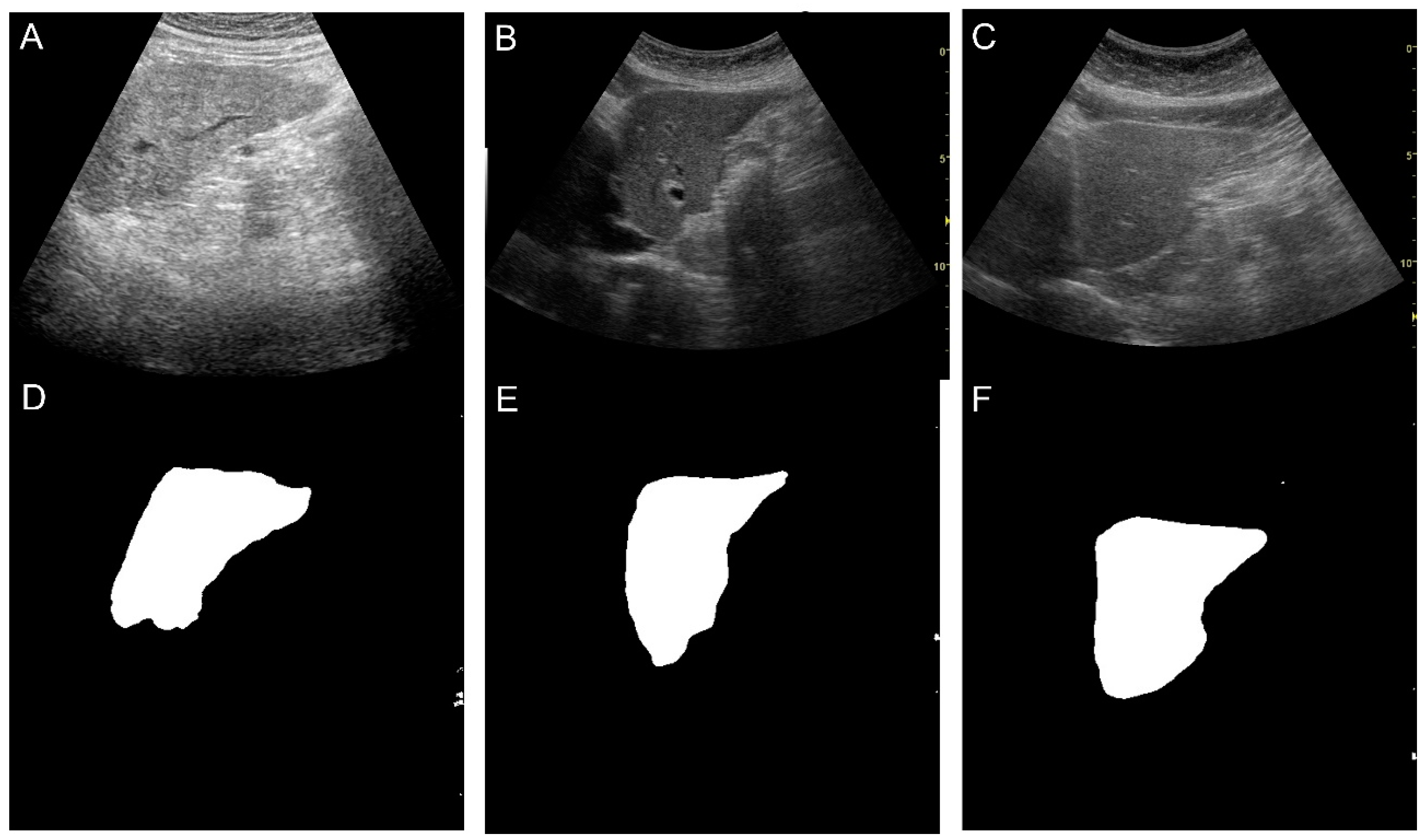 Diagnostics 14 02585 g003
