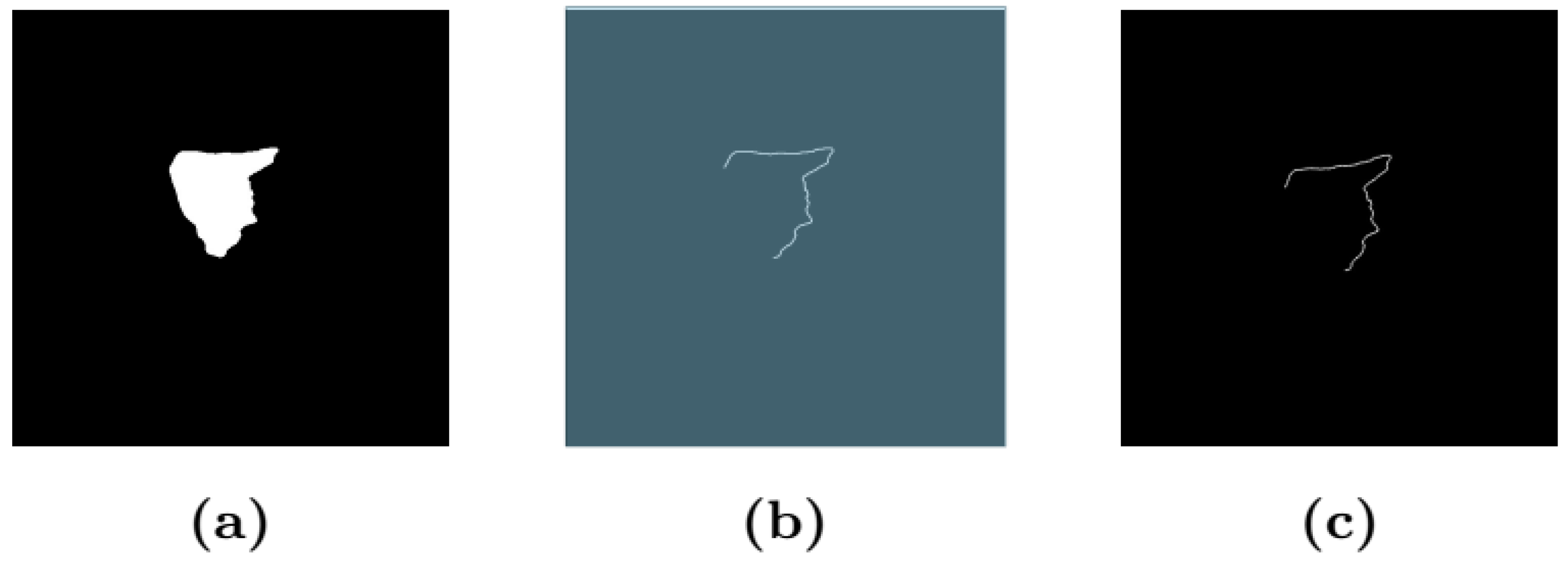 Diagnostics 14 02585 g005