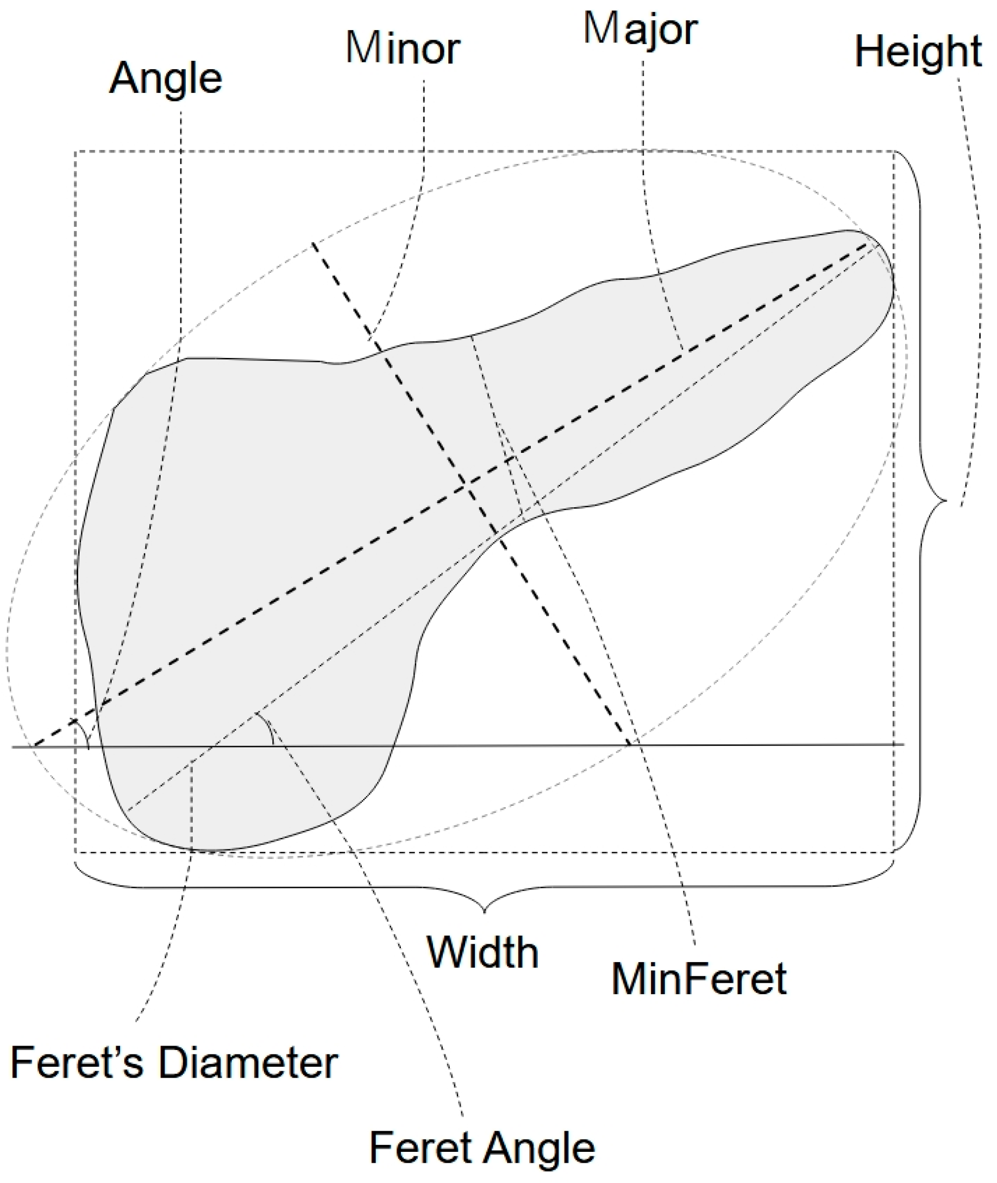 Diagnostics 14 02585 g006