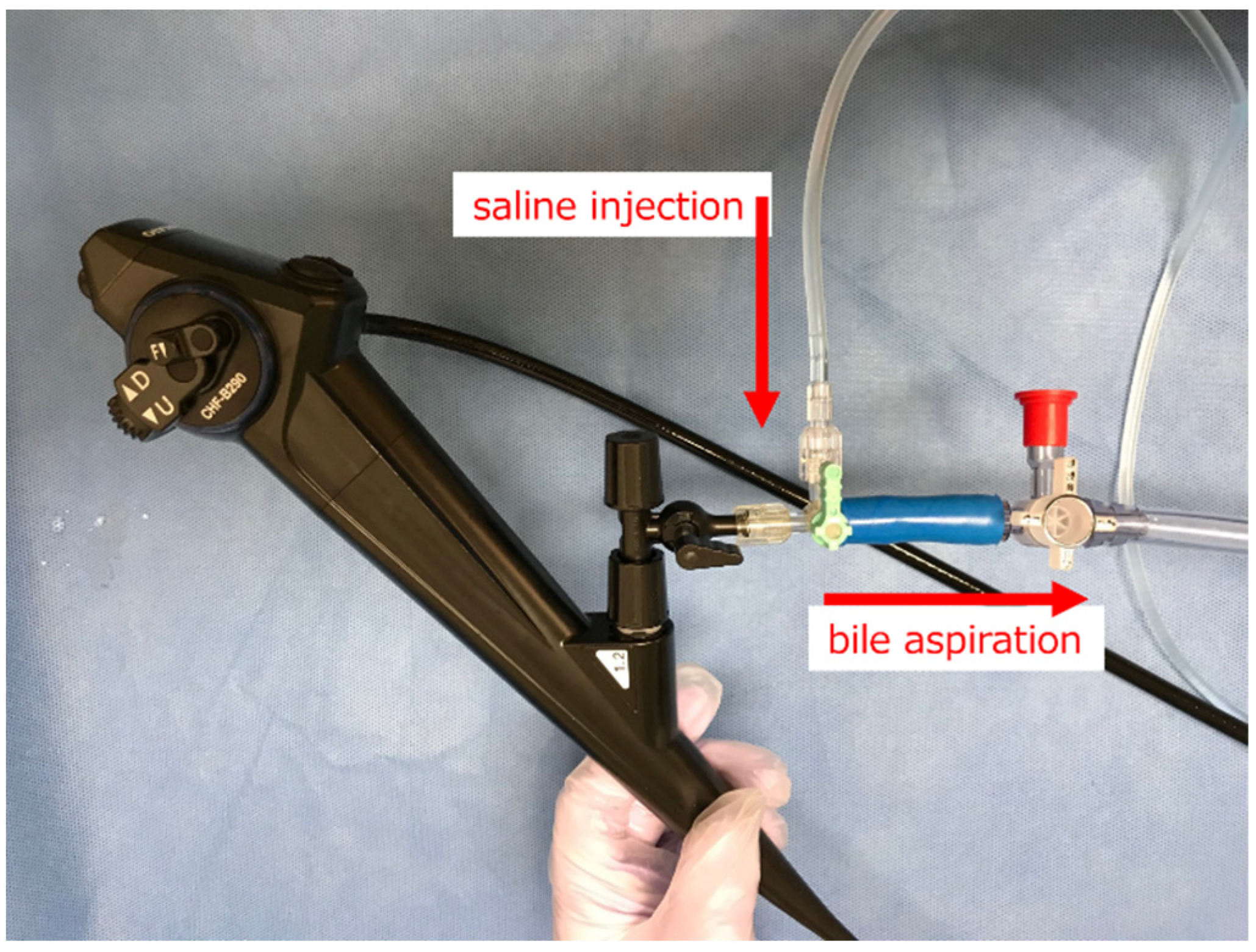 Diagnostics 14 02589 g002