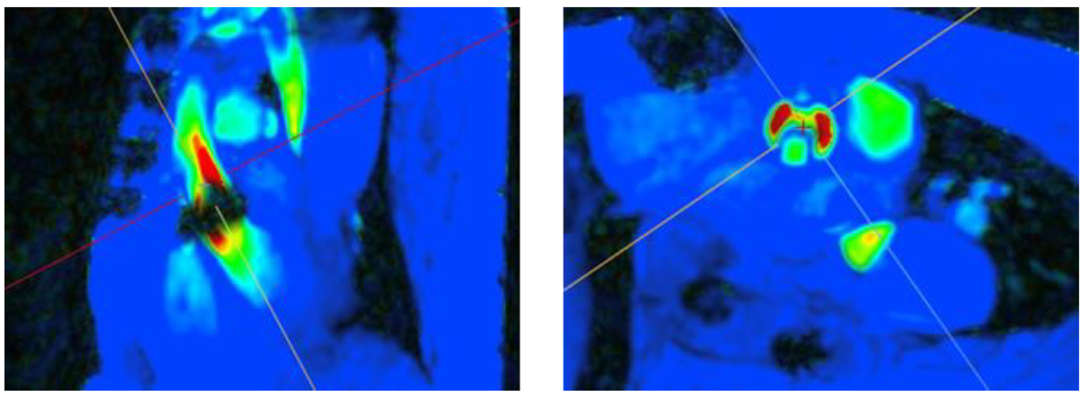 Diagnostics 14 02590 g002