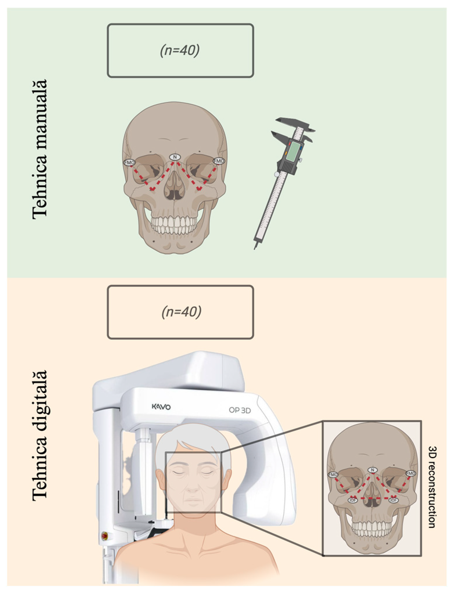 Diagnostics 14 02595 g001