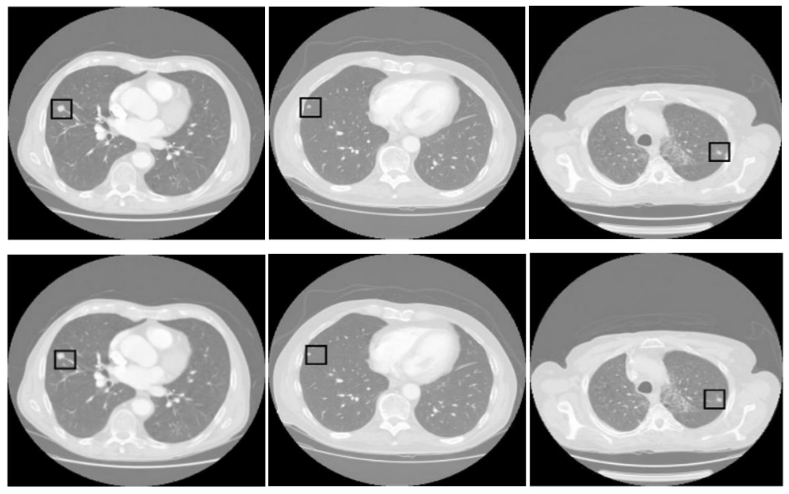 Diagnostics 14 02604 g005