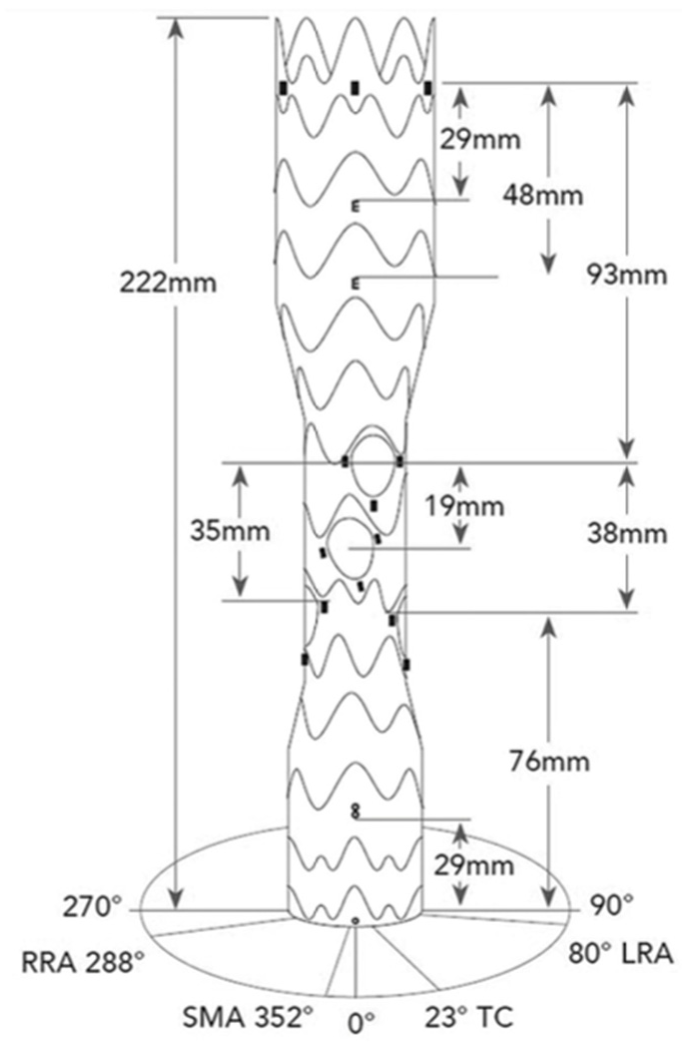 Diagnostics 14 02612 g001