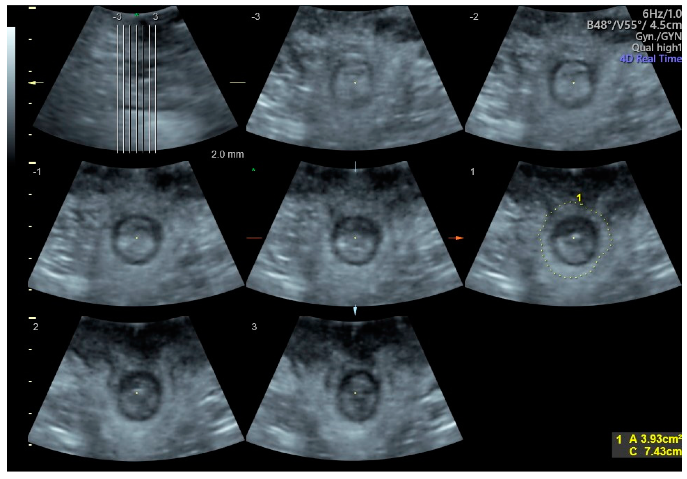Diagnostics 14 02614 g001