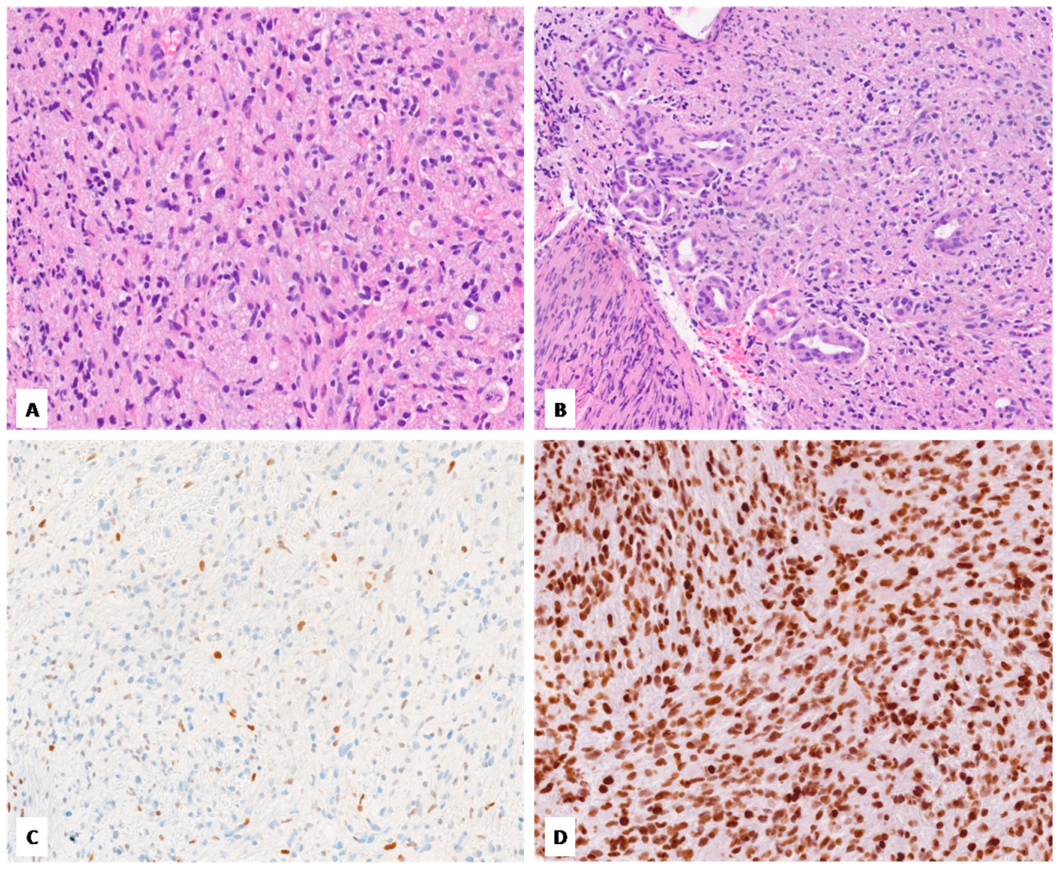 Diagnostics 14 02617 g002