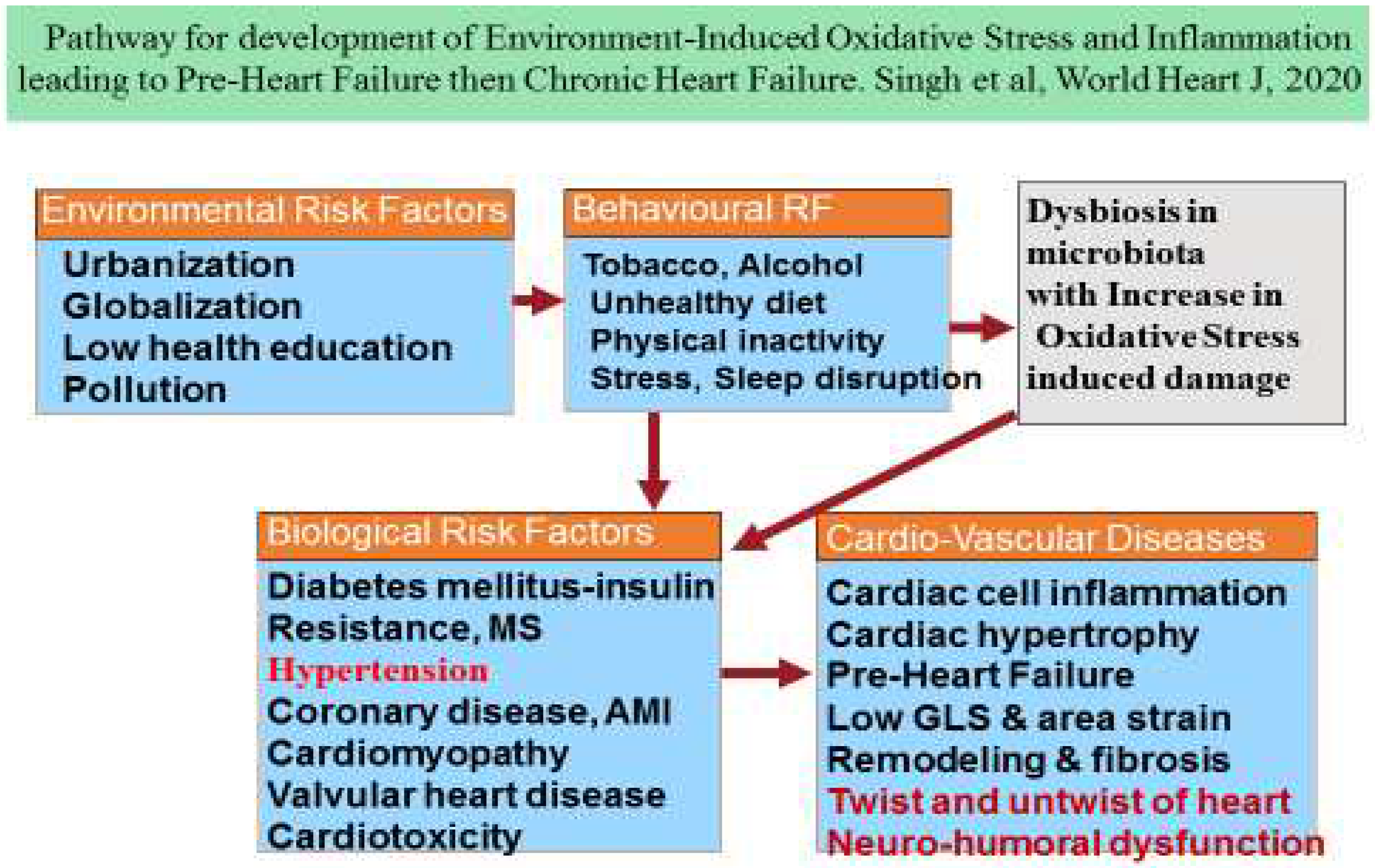 Diagnostics 14 02618 g001