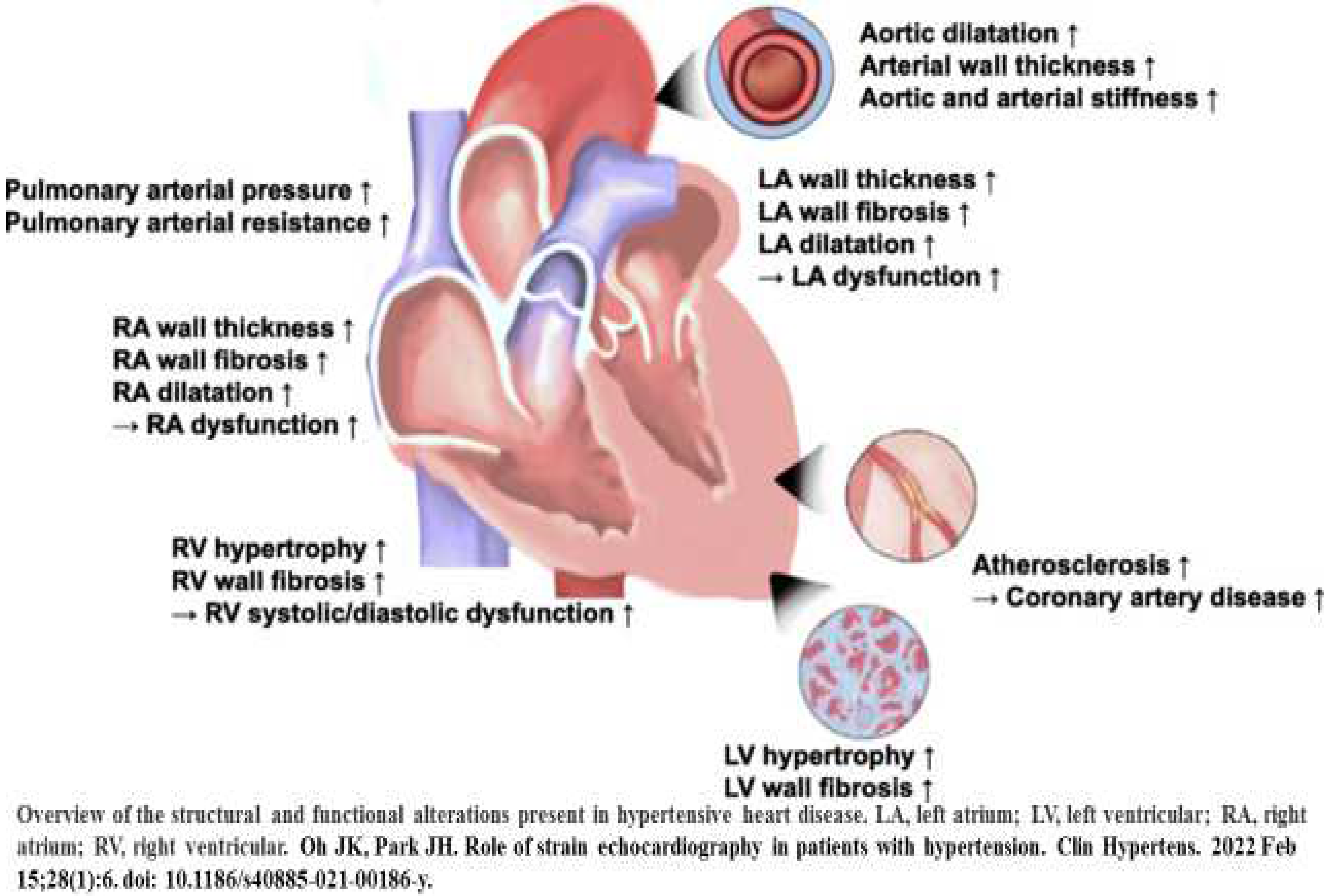 Diagnostics 14 02618 g002