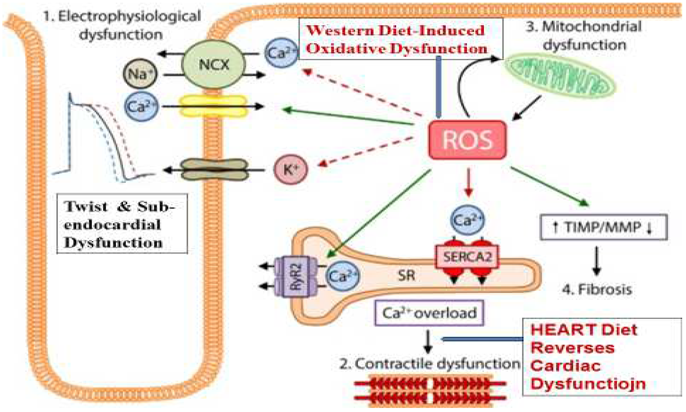 Diagnostics 14 02618 g003