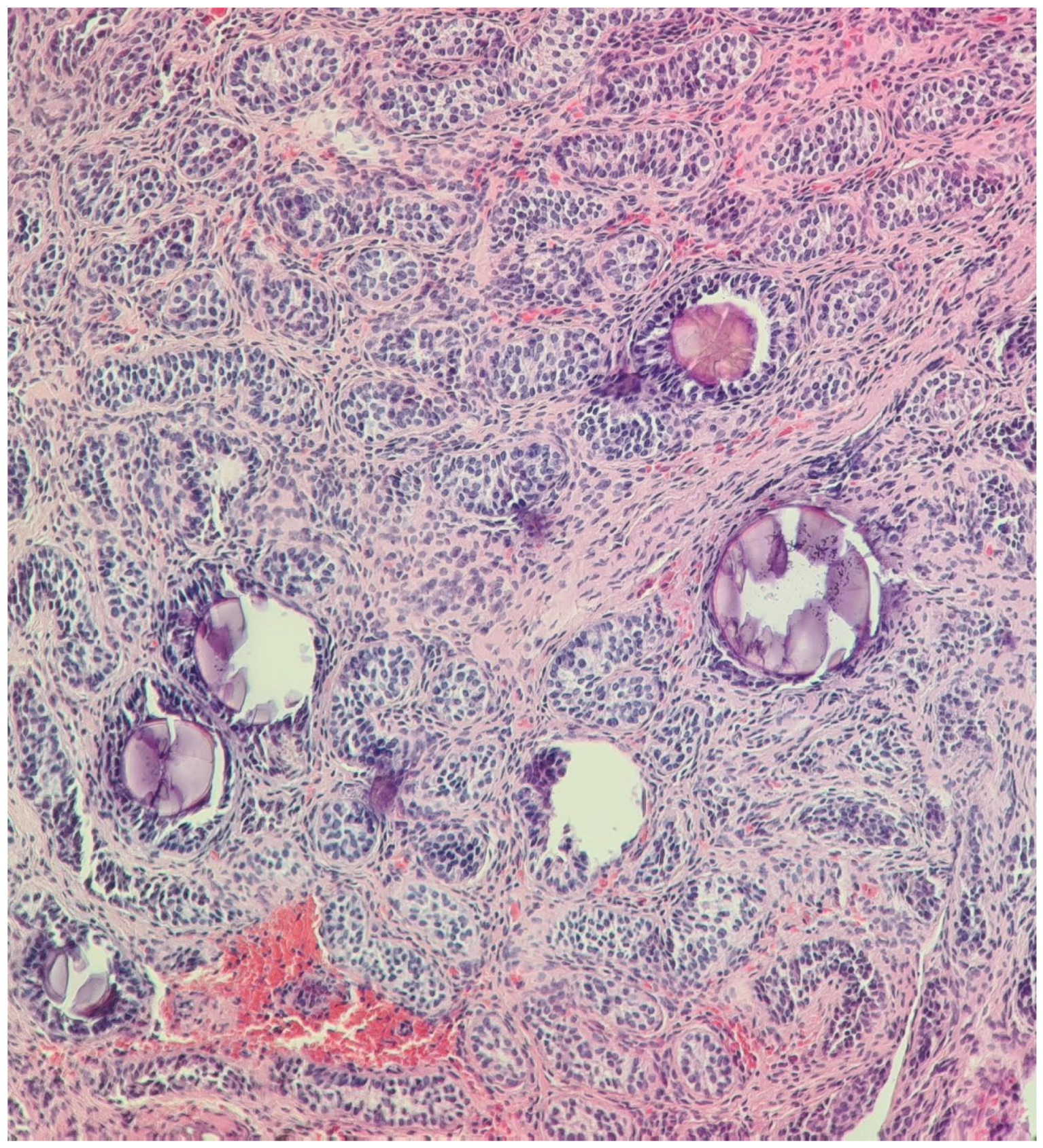 Diagnostics 14 02621 g001a Diagnostics 14 02621 g001a