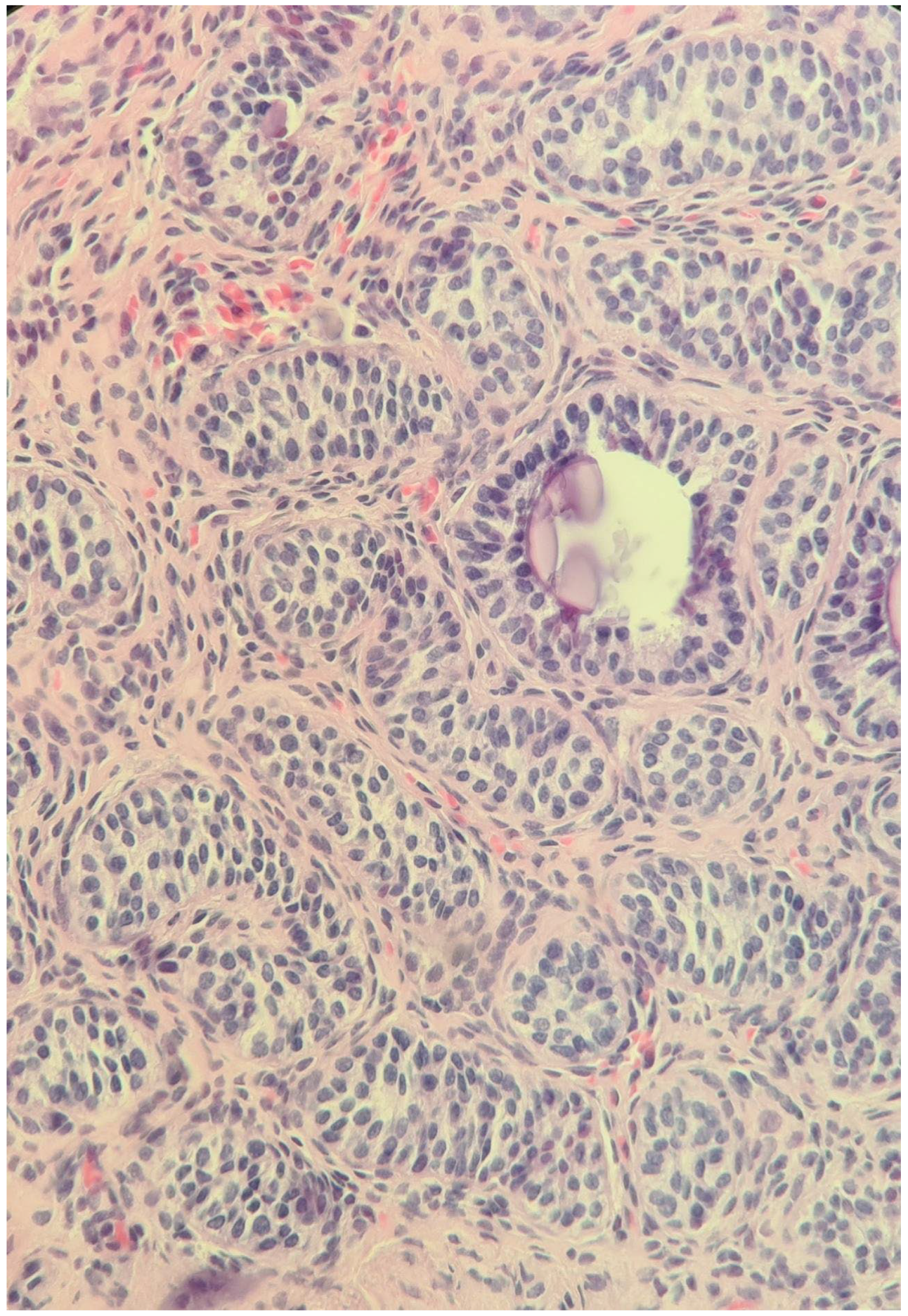 Diagnostics 14 02621 g001b Diagnostics 14 02621 g001b