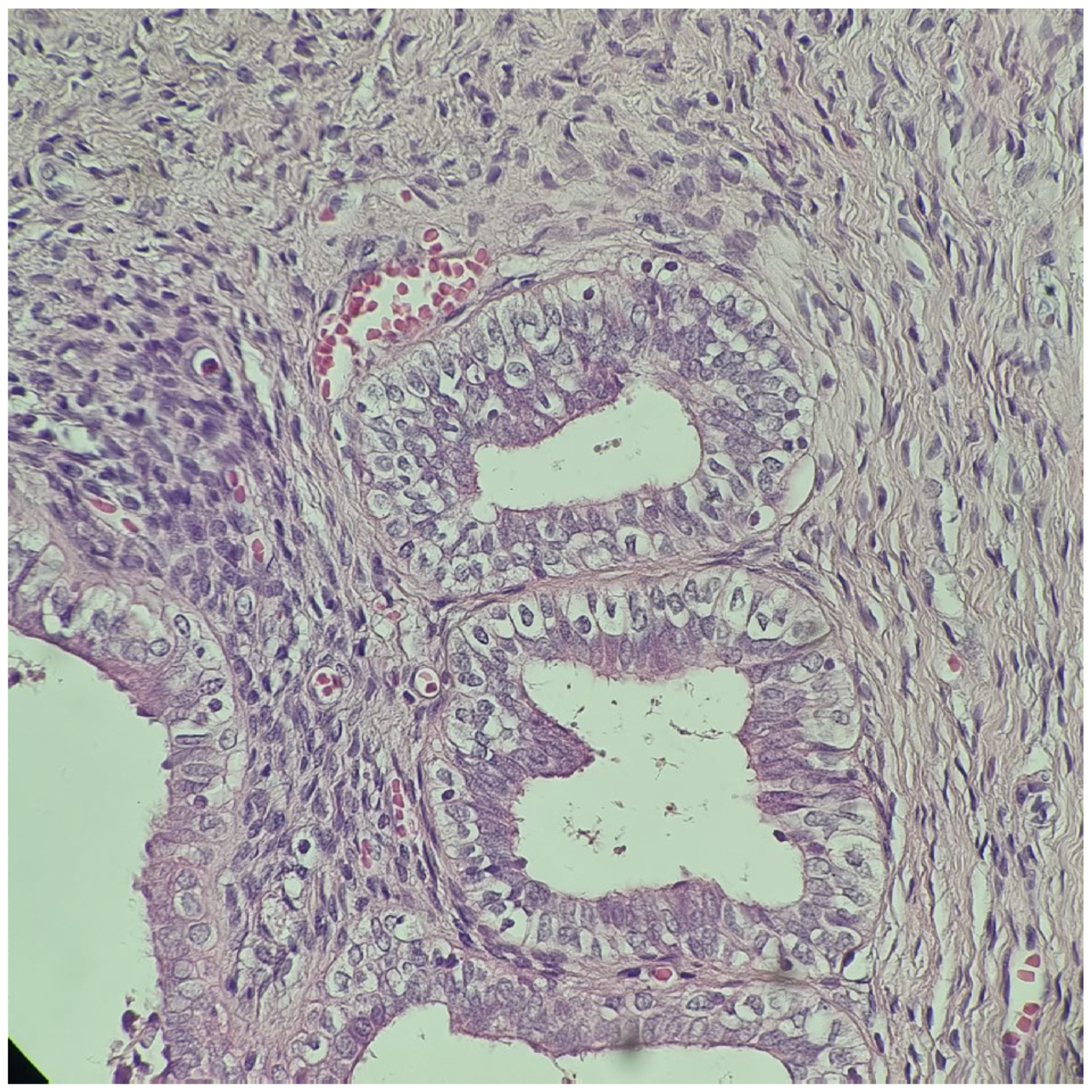 Diagnostics 14 02621 g002a Diagnostics 14 02621 g002a