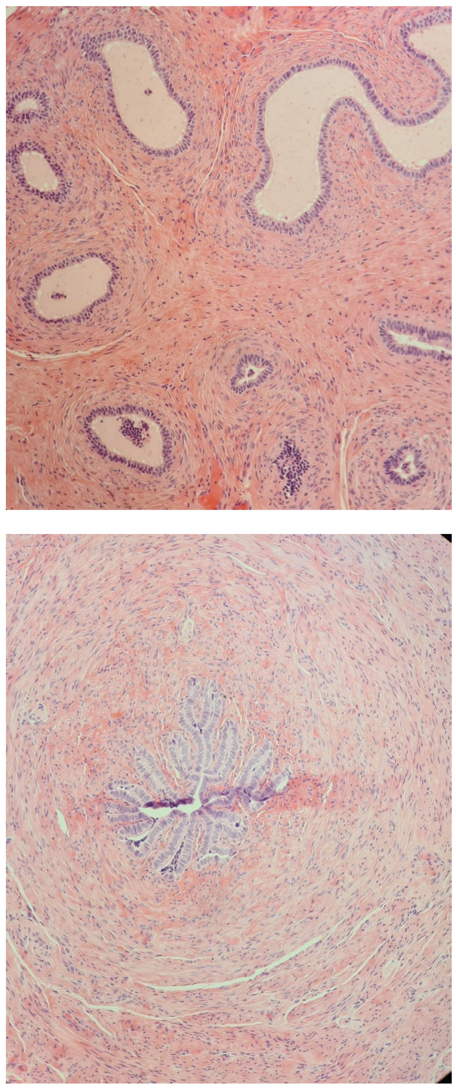 Diagnostics 14 02621 g003a Diagnostics 14 02621 g003a