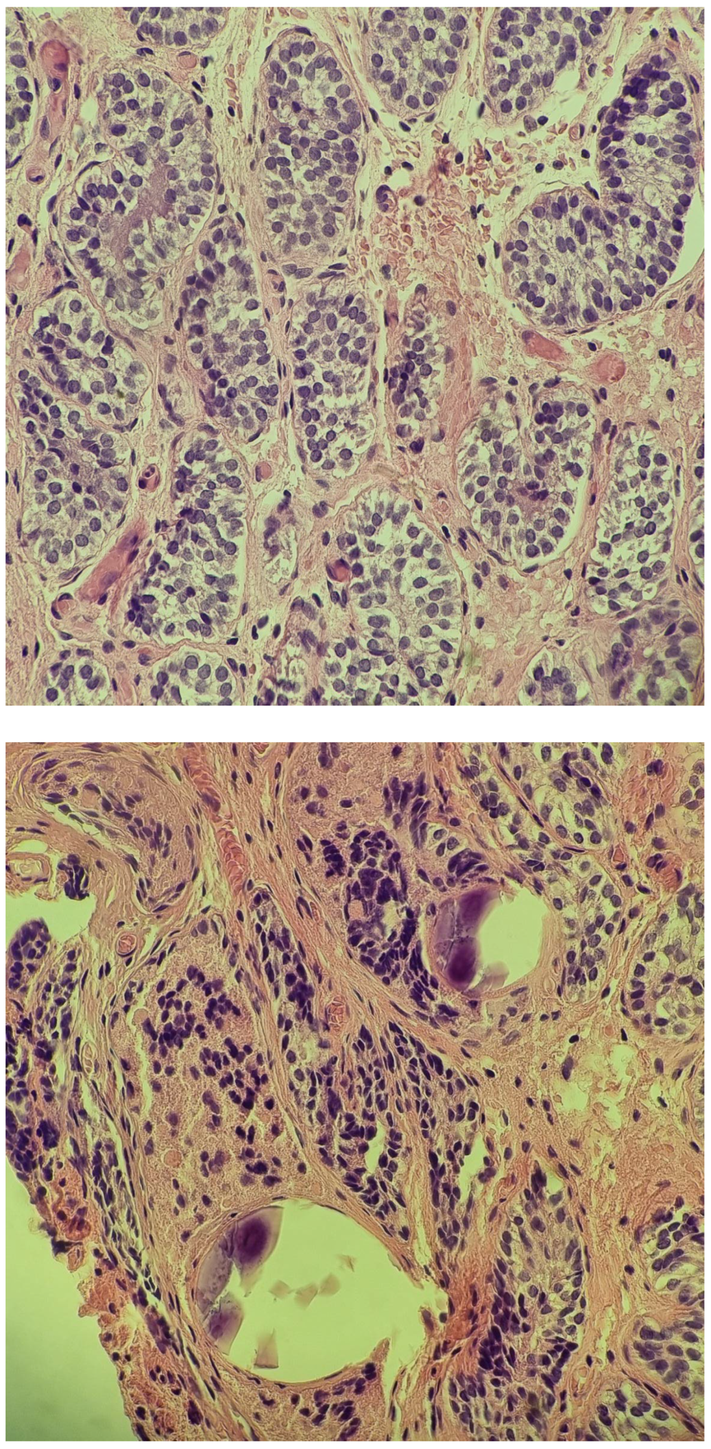 Diagnostics 14 02621 g004 Diagnostics 14 02621 g004