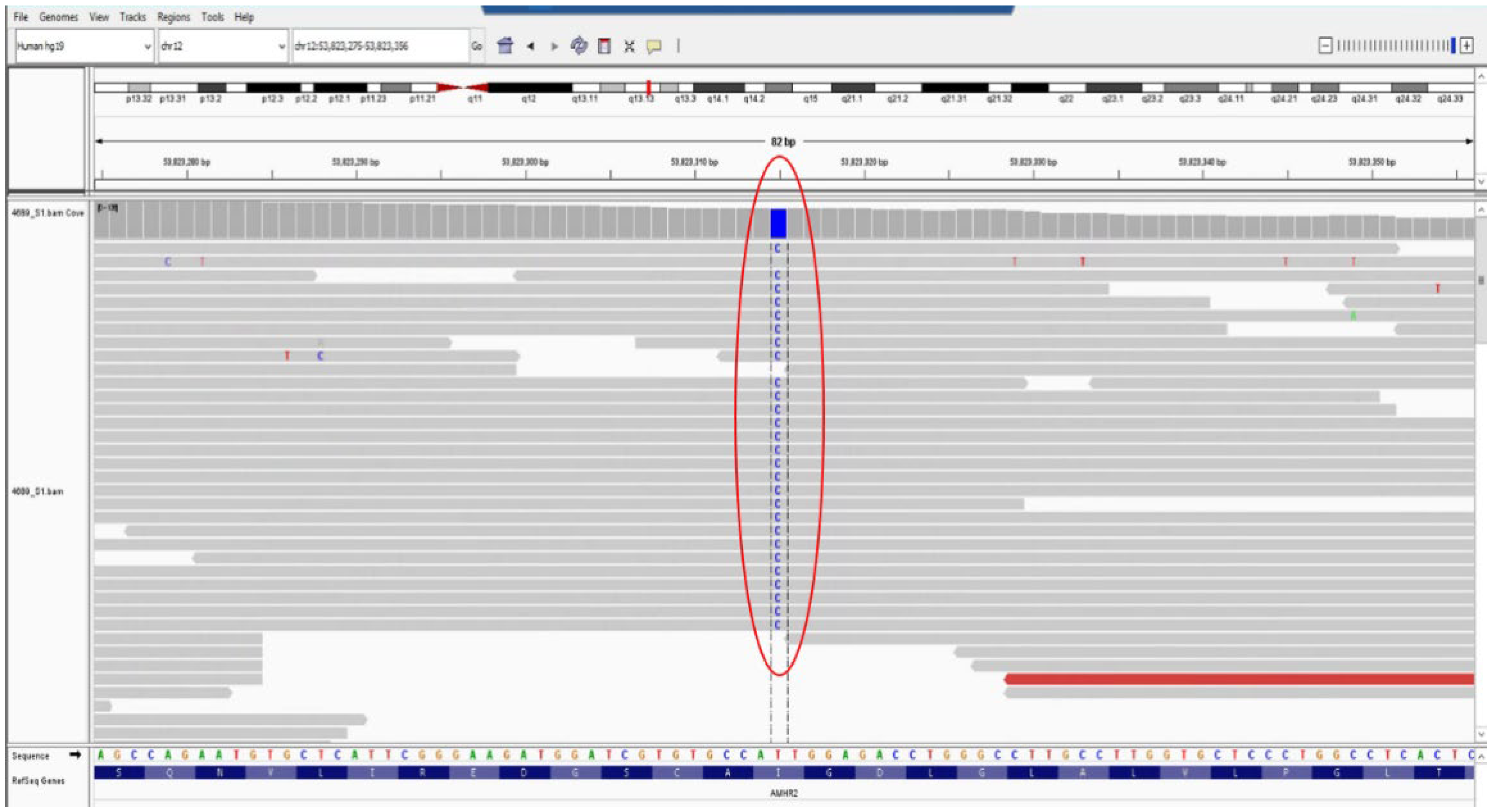 Diagnostics 14 02621 g005 Diagnostics 14 02621 g005