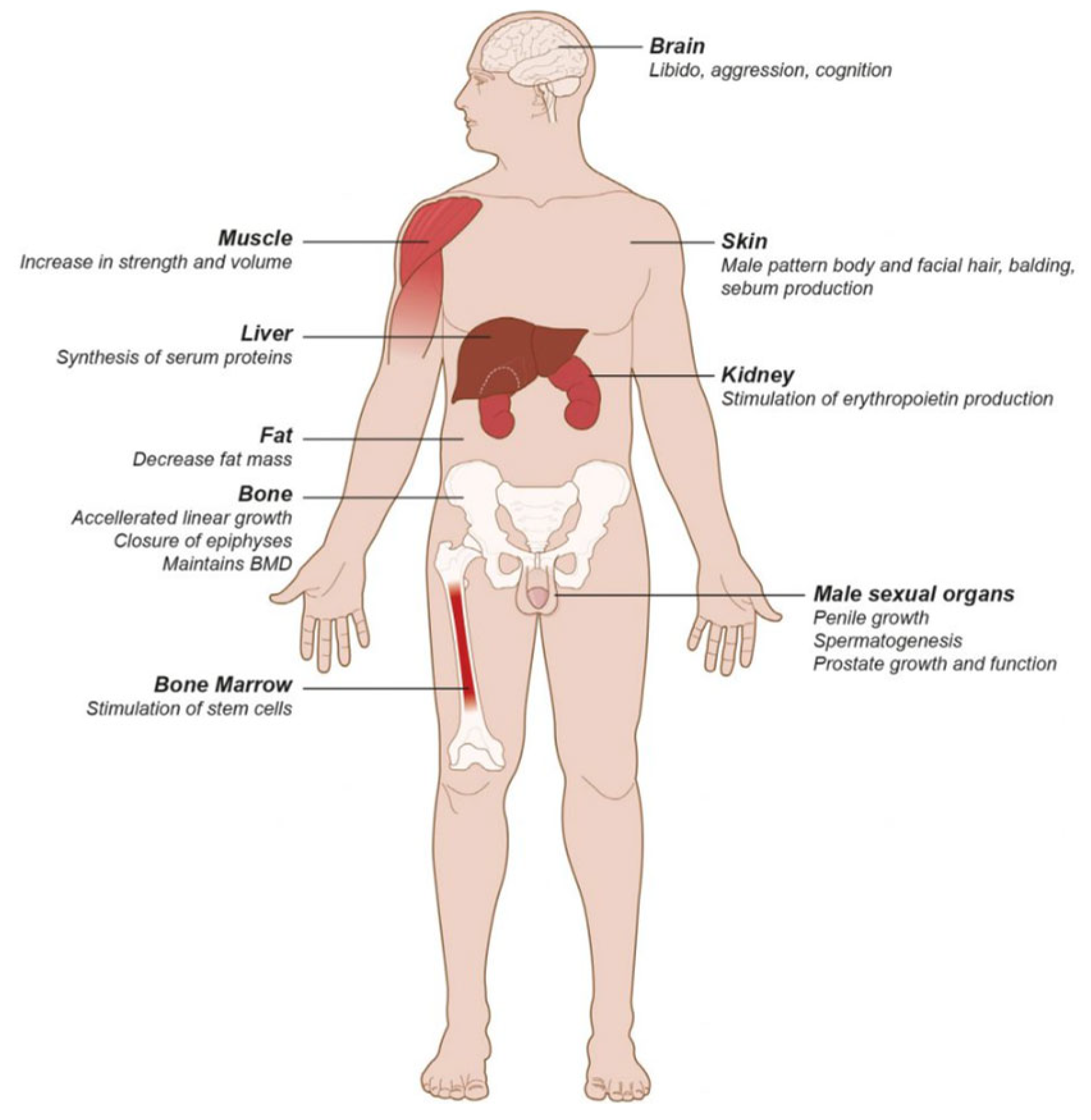 Diagnostics 14 02634 g001