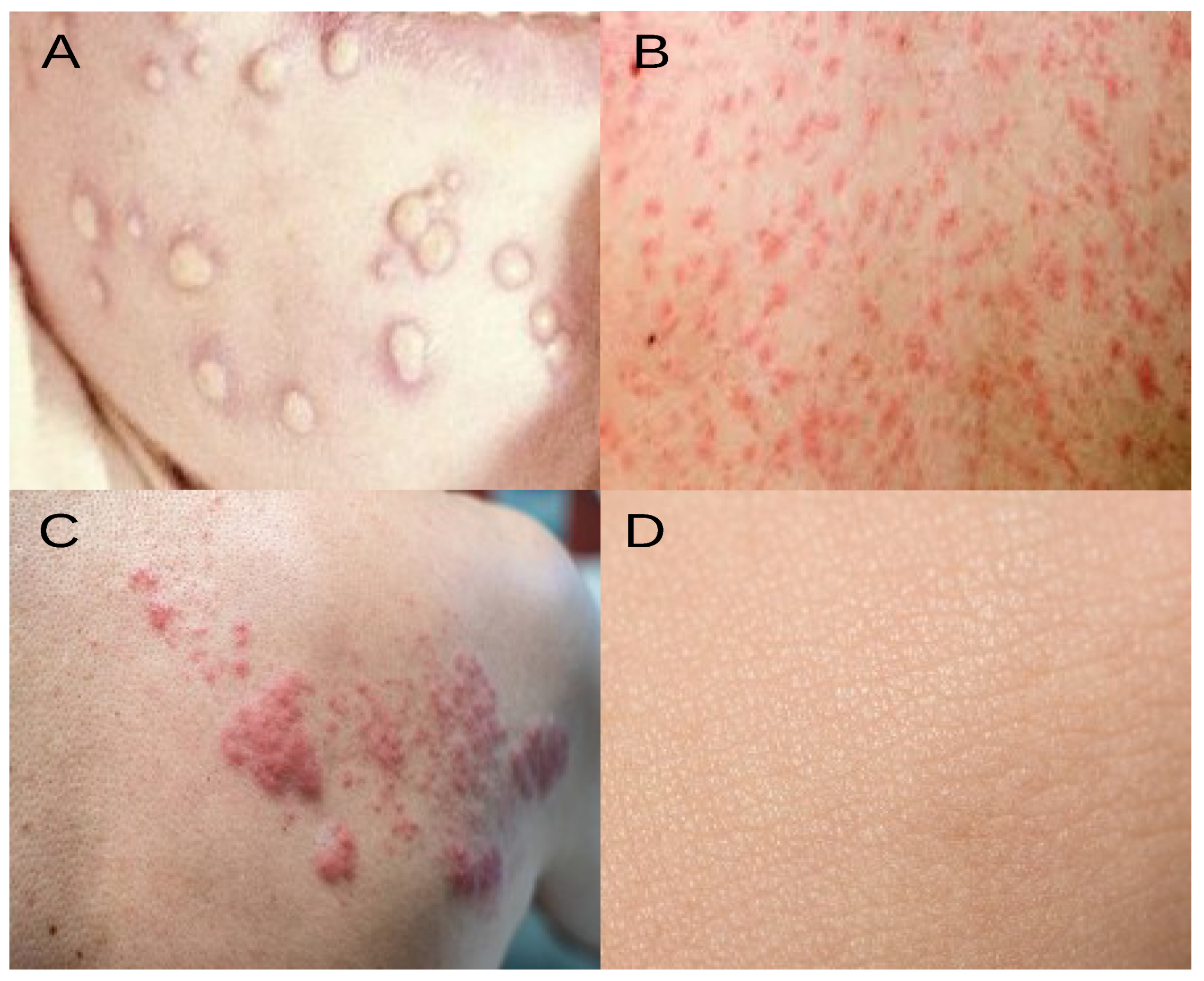 Diagnostics 14 02638 g002