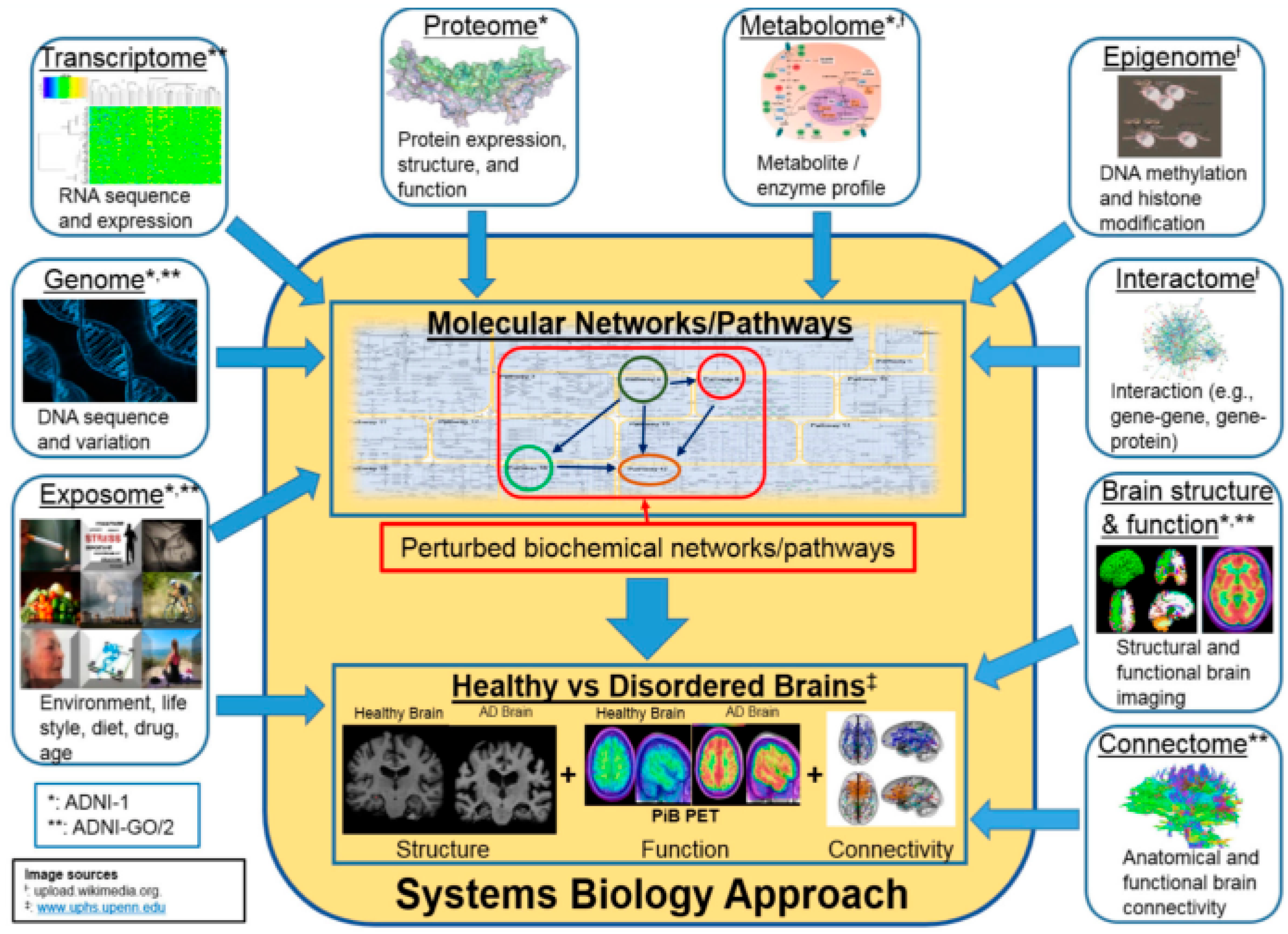 Diagnostics 14 02640 g001