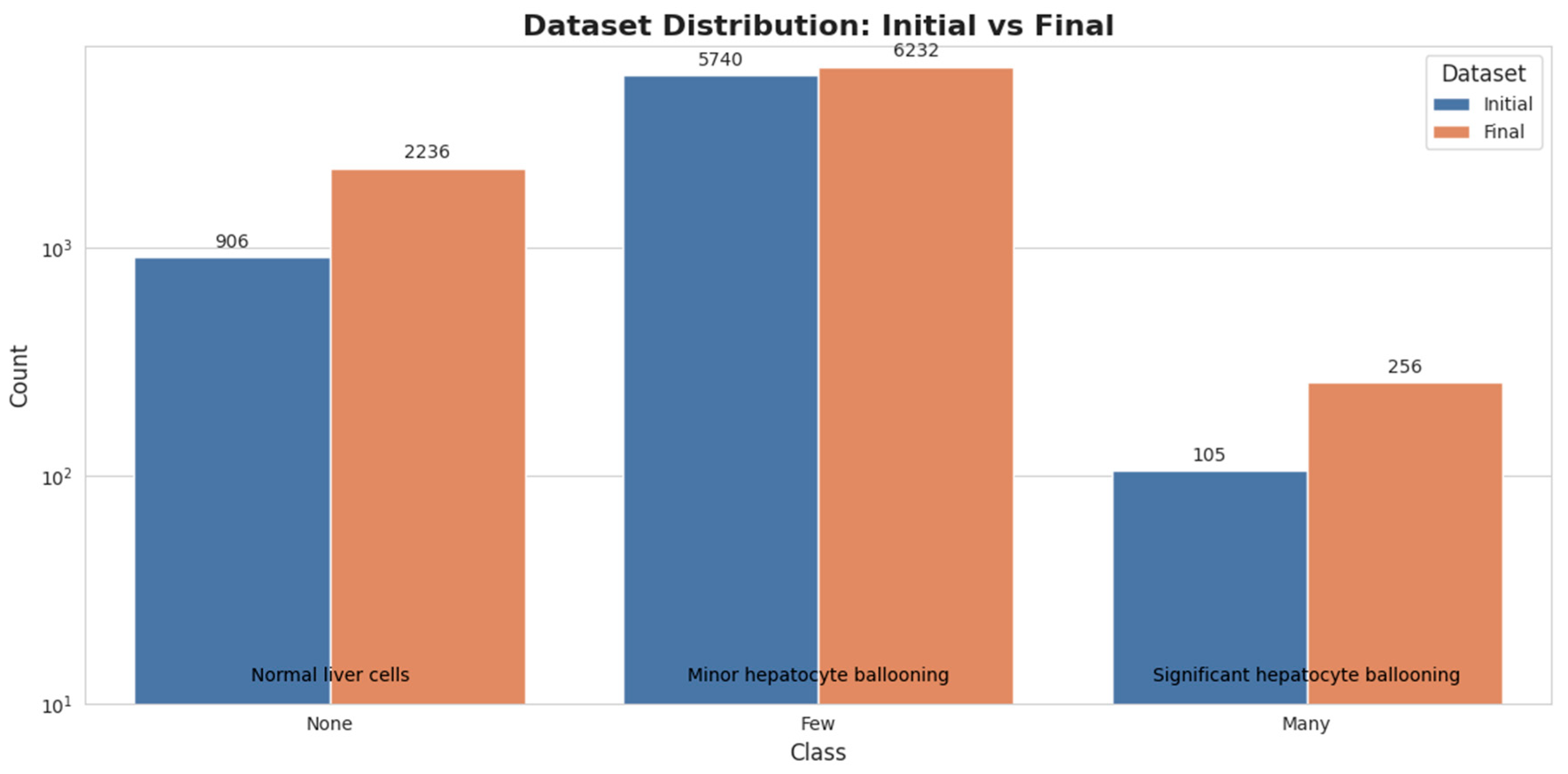 Diagnostics 14 02646 g001
