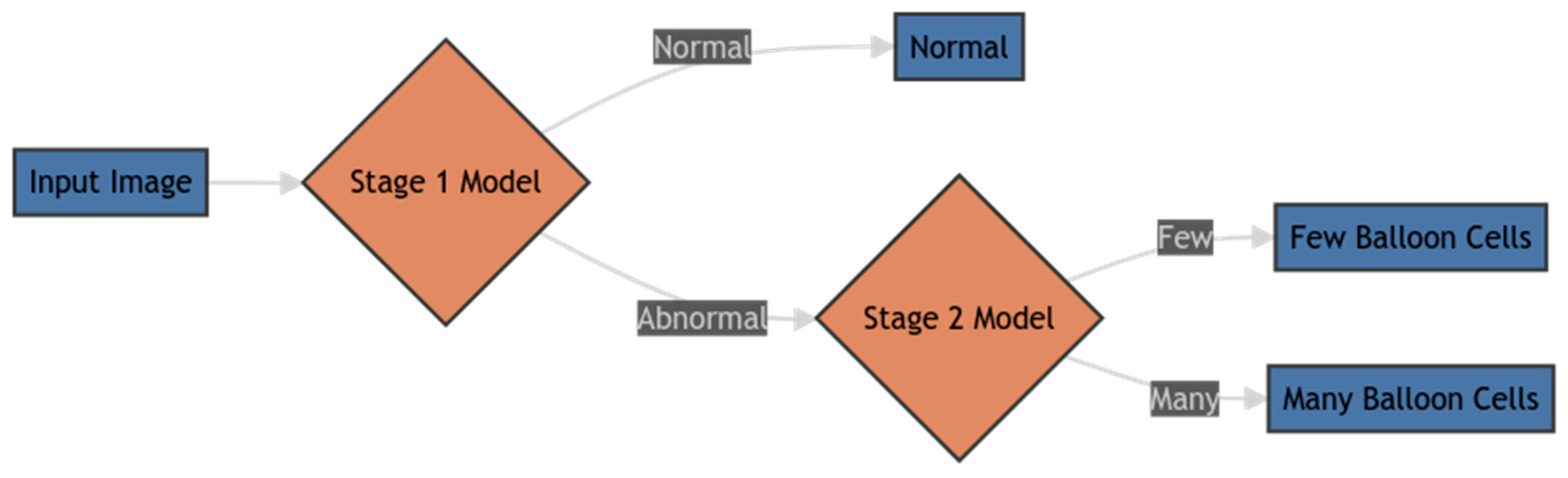 Diagnostics 14 02646 g005