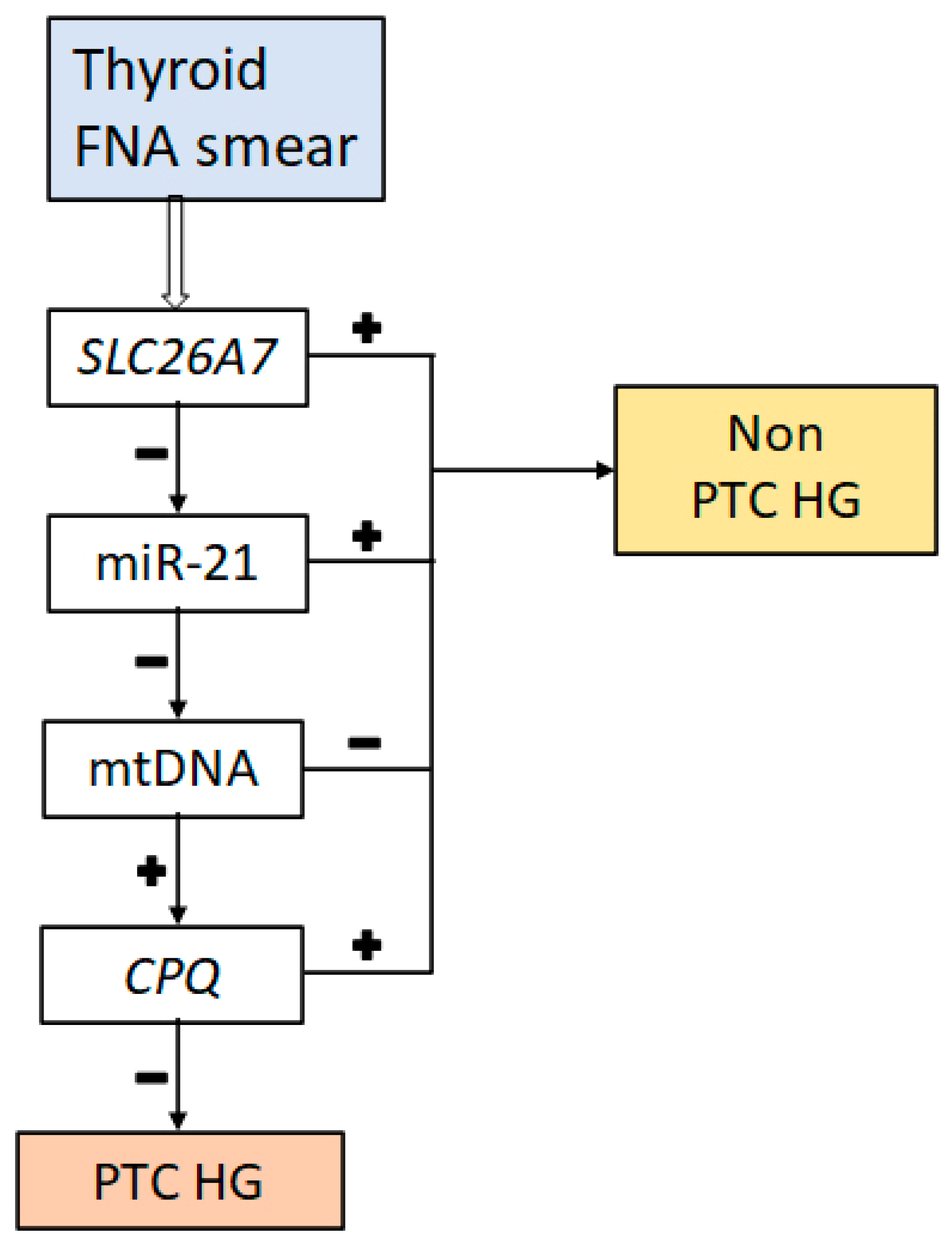 Diagnostics 14 02652 g003