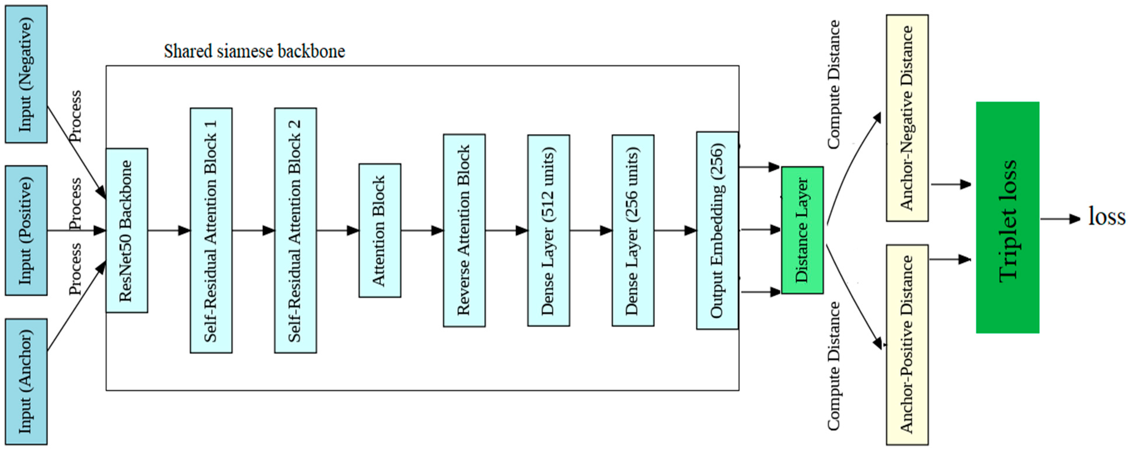 Diagnostics 14 02655 g001
