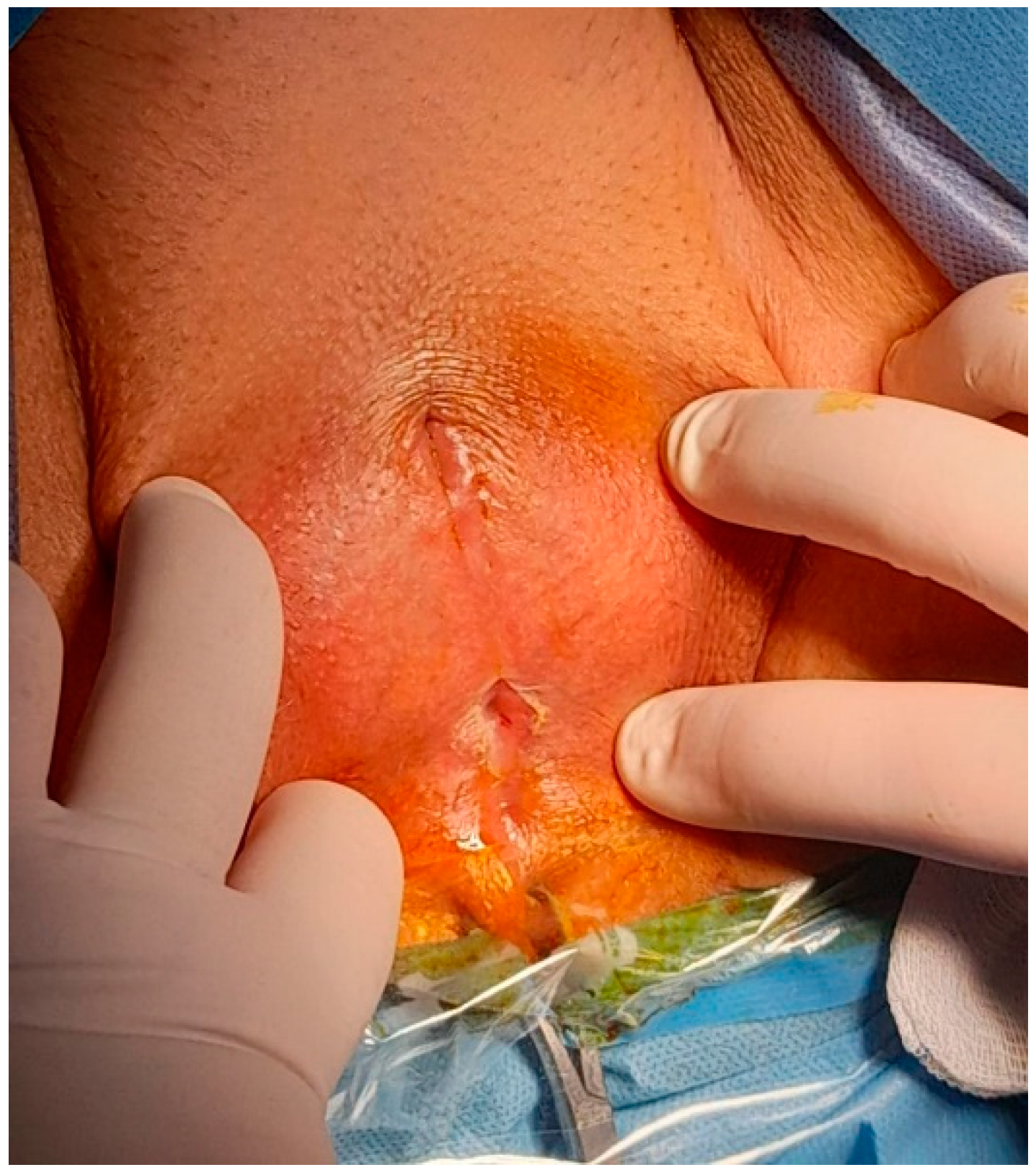 Diagnostics 14 02659 g001