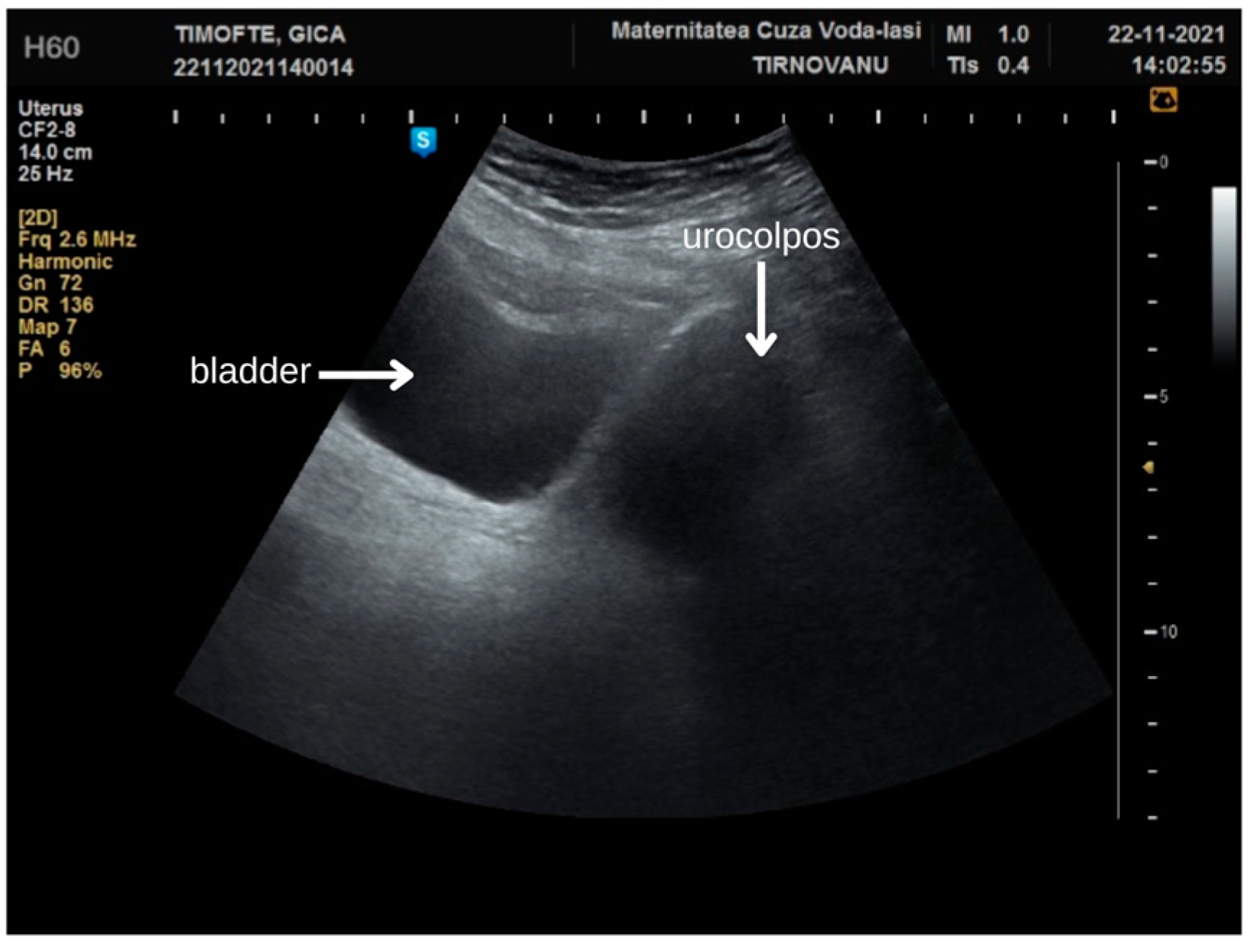 Diagnostics 14 02659 g002