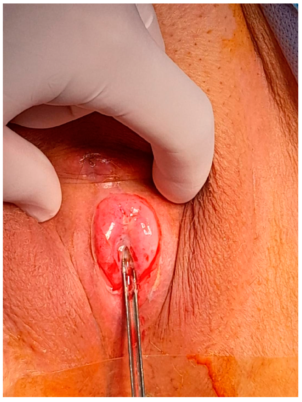 Diagnostics 14 02659 g004