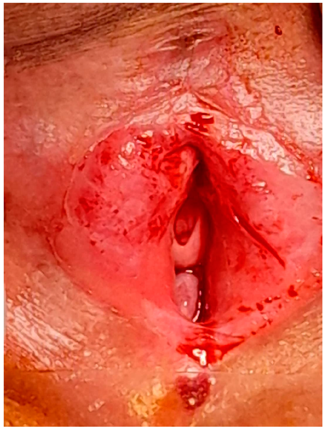 Diagnostics 14 02659 g005